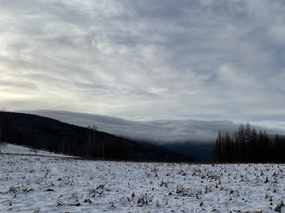 a snow covered field with trees in the distance