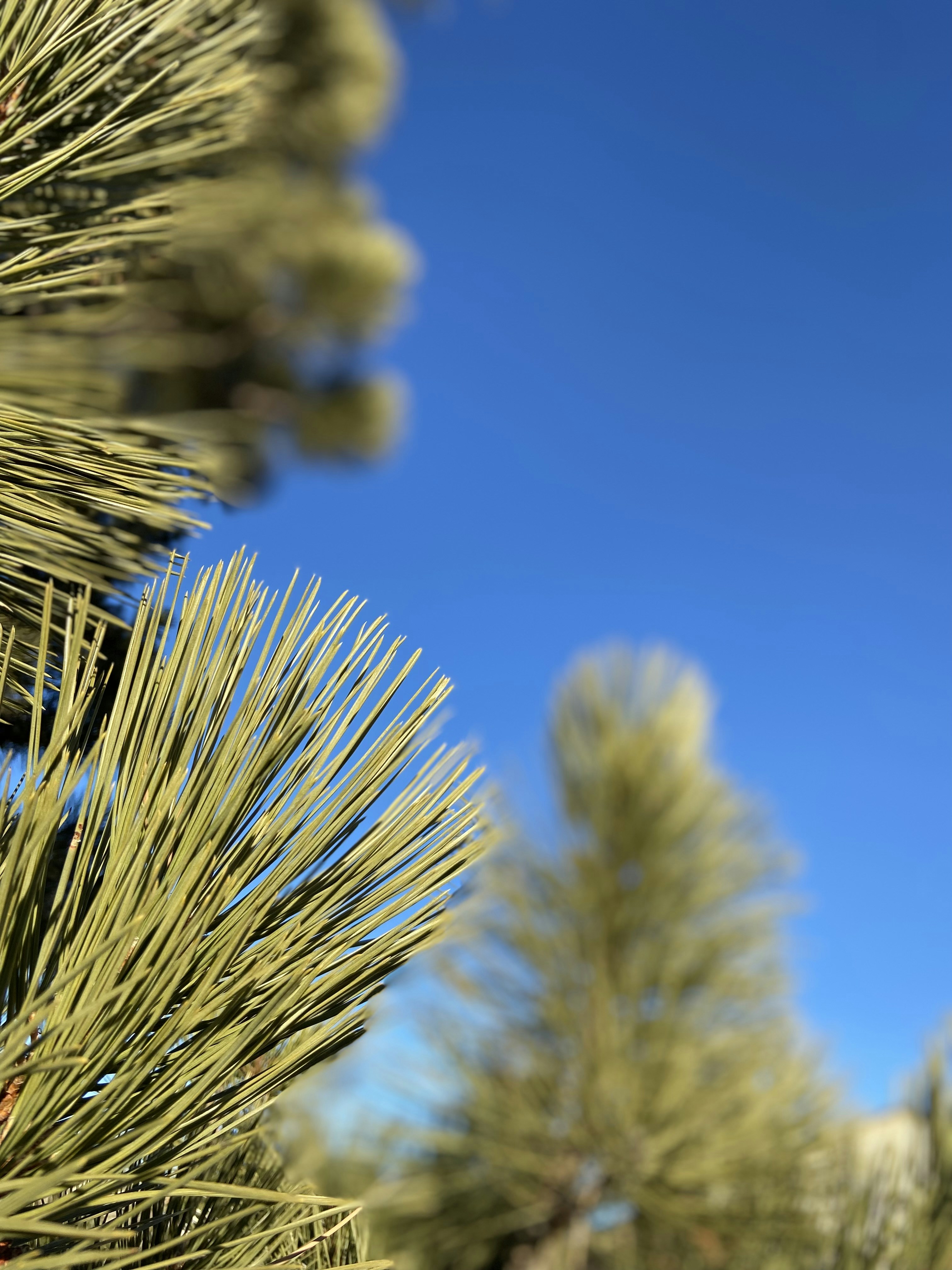 Photo by emmyc_bubbletea