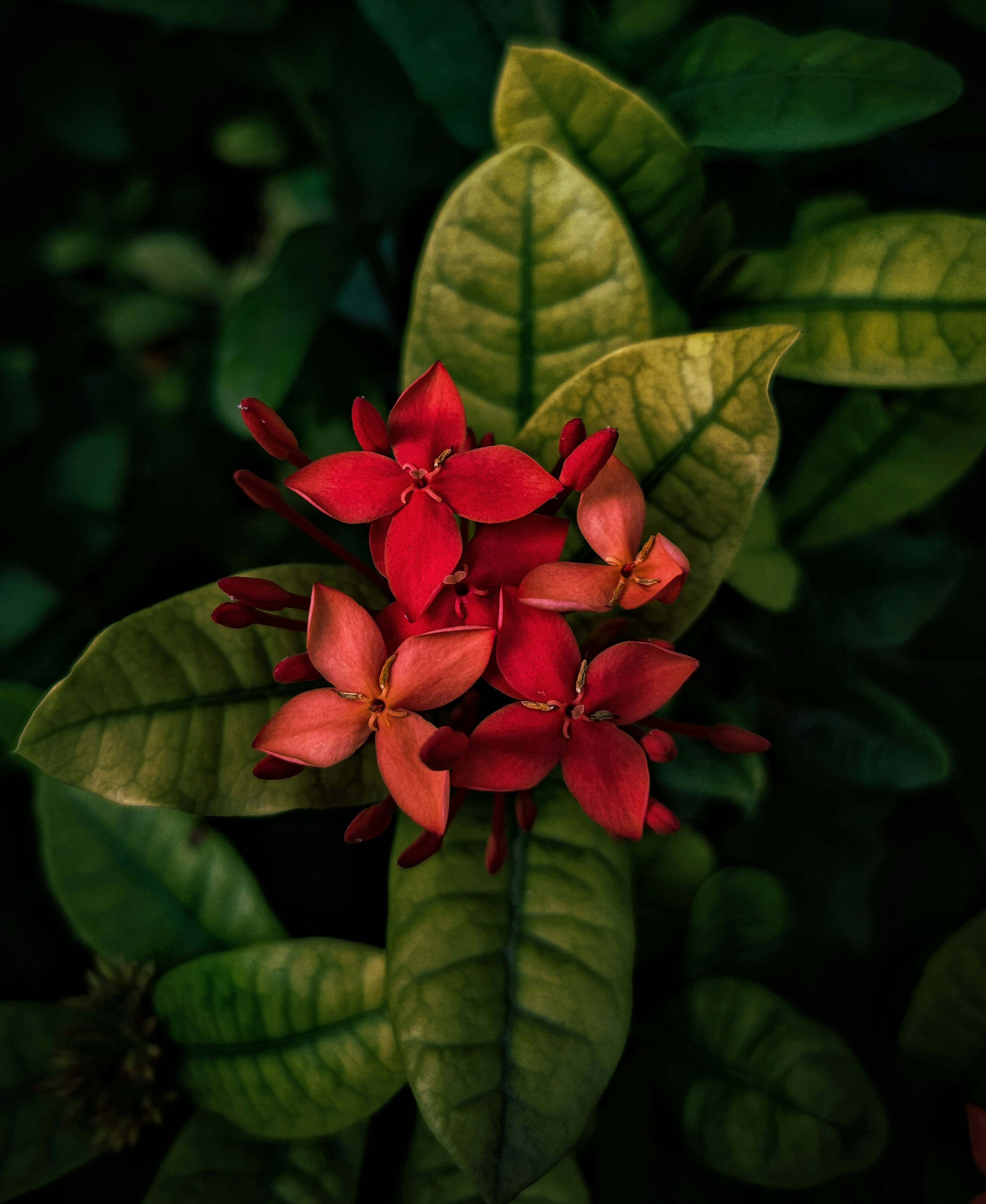 Photo by vedansh1001