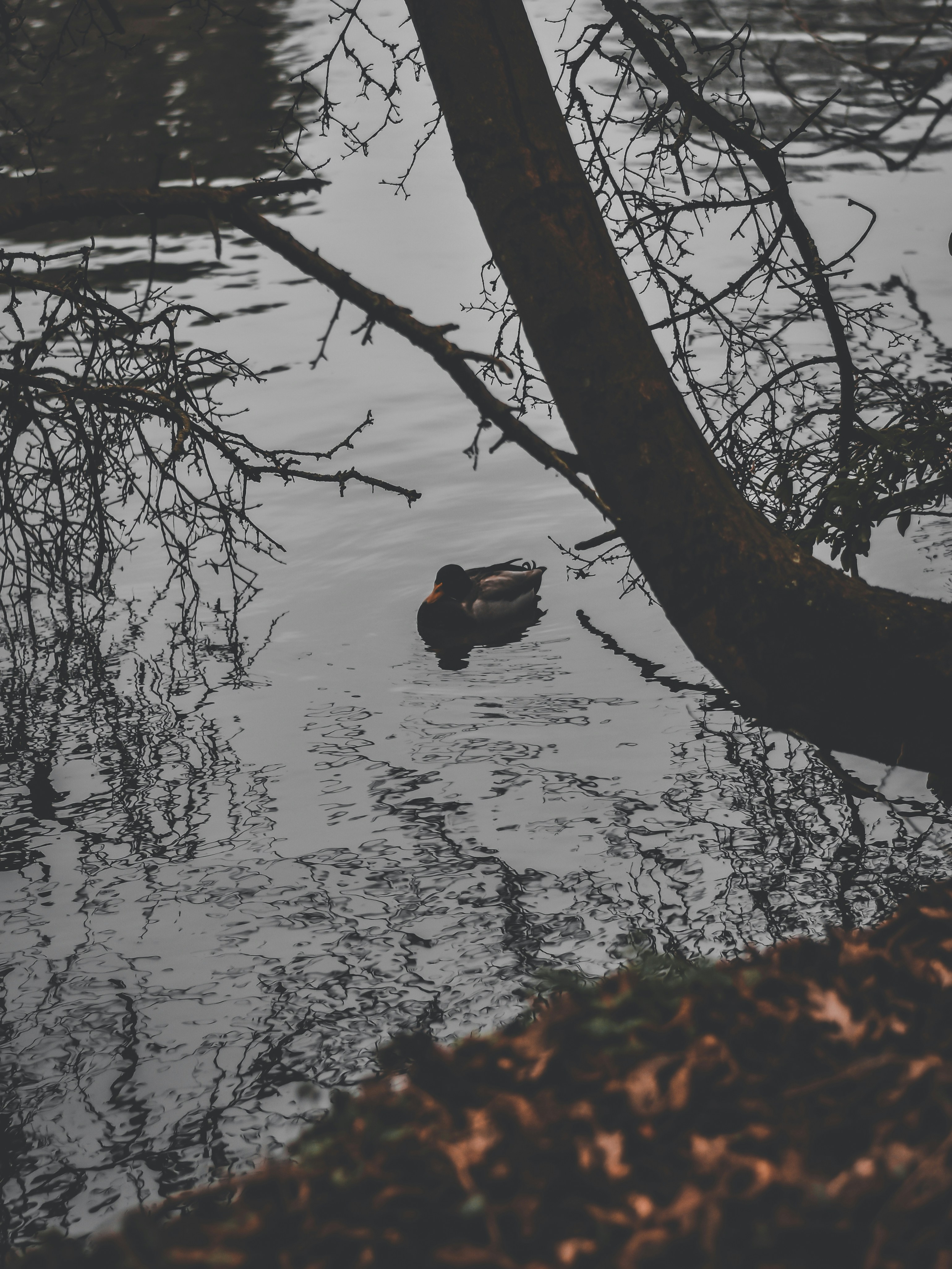 Photo by elliottmason