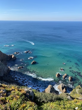 a body of water surrounded by rocks and grass