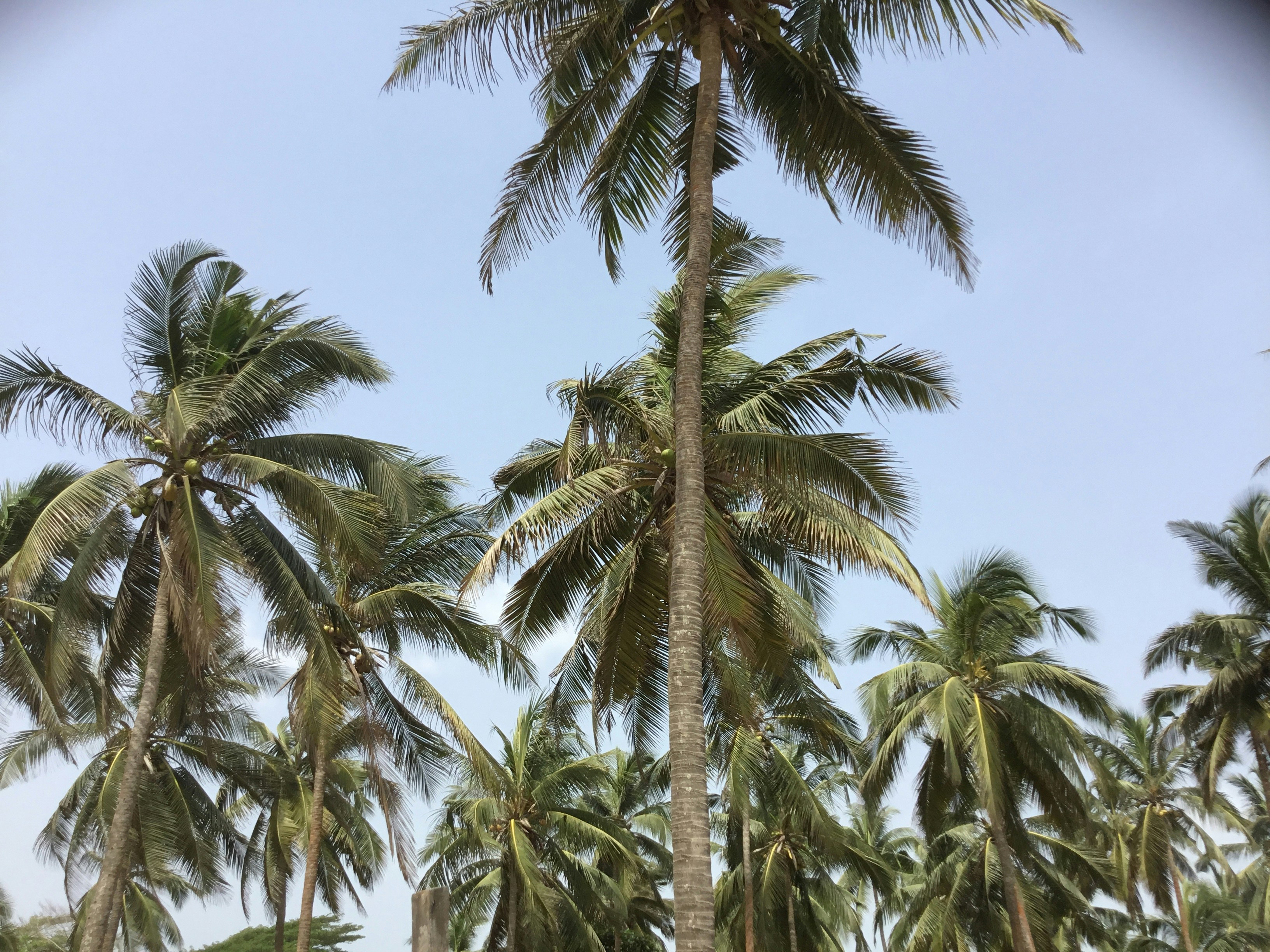 Photo by kida_of_cobalt