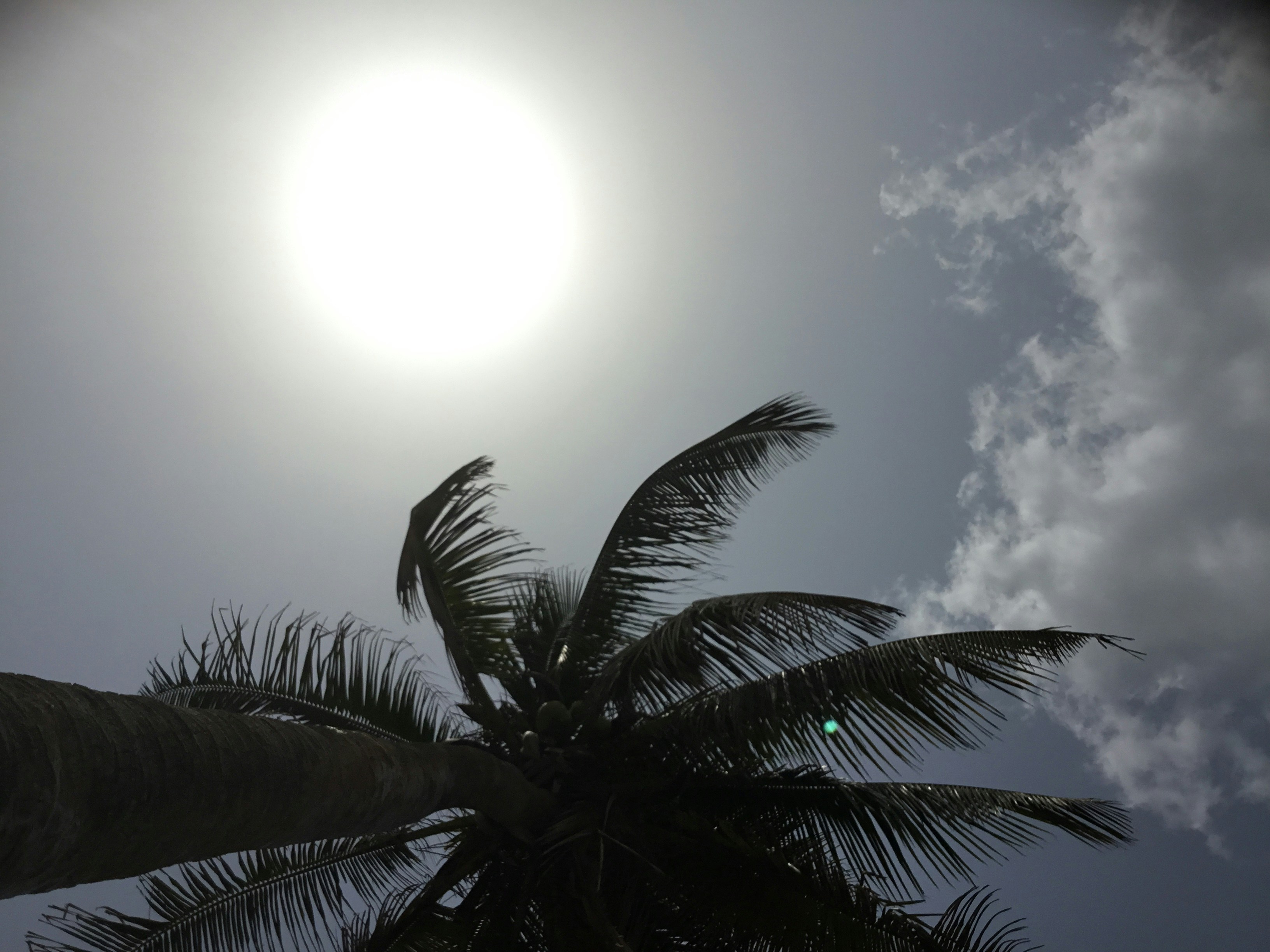 how to remove sun damage from face