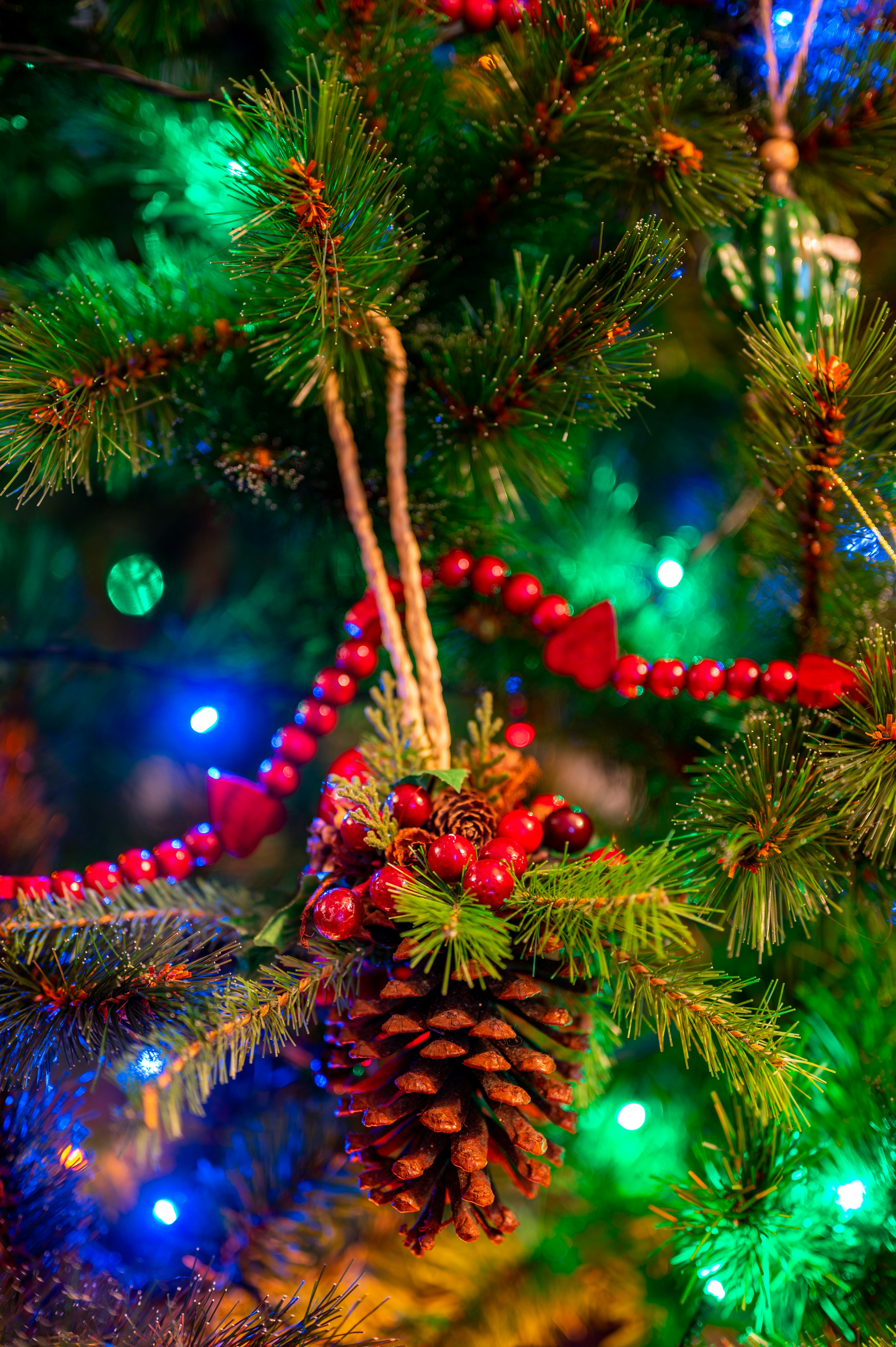 Photo by andreasbrun