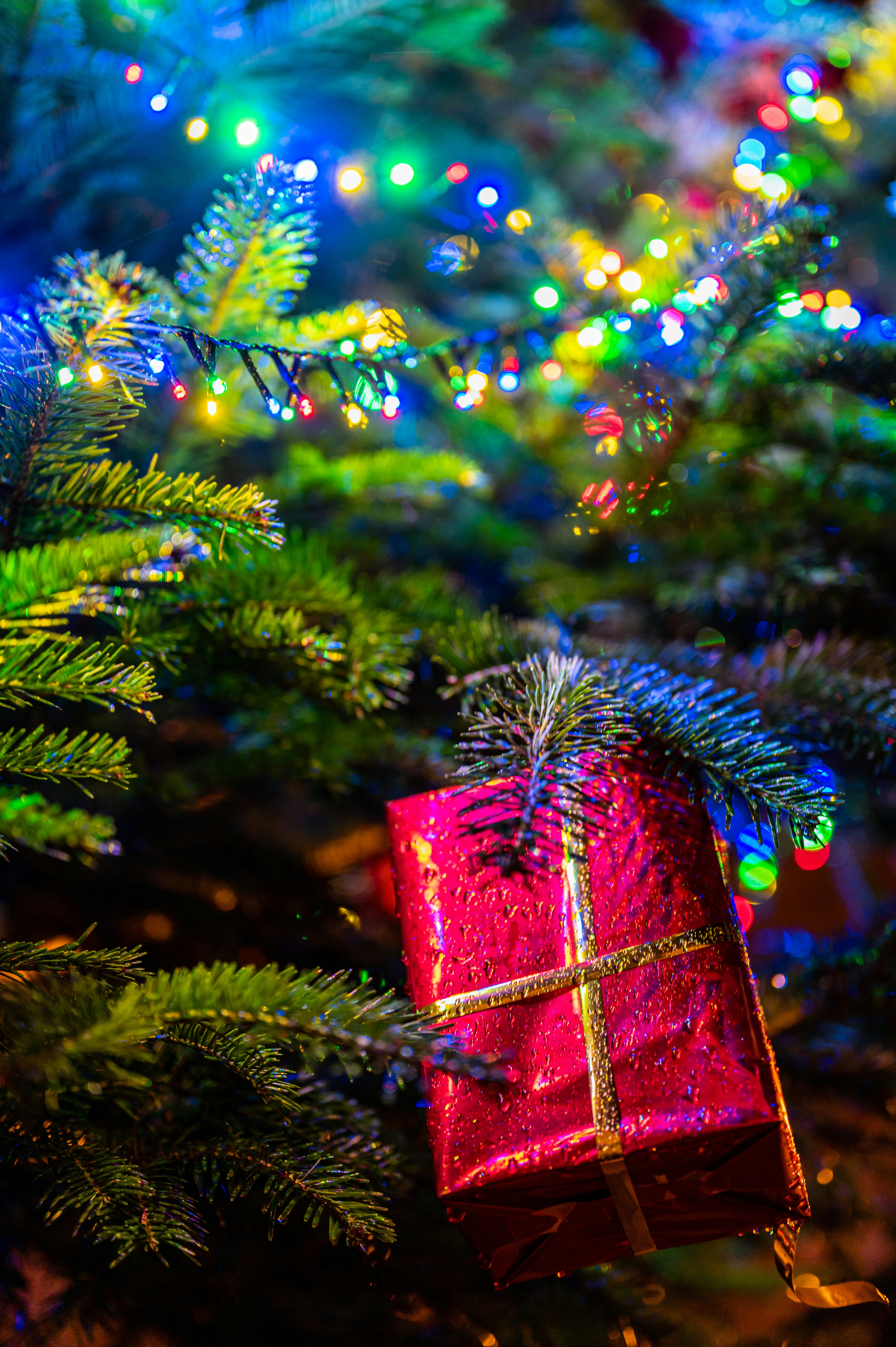 Photo by andreasbrun