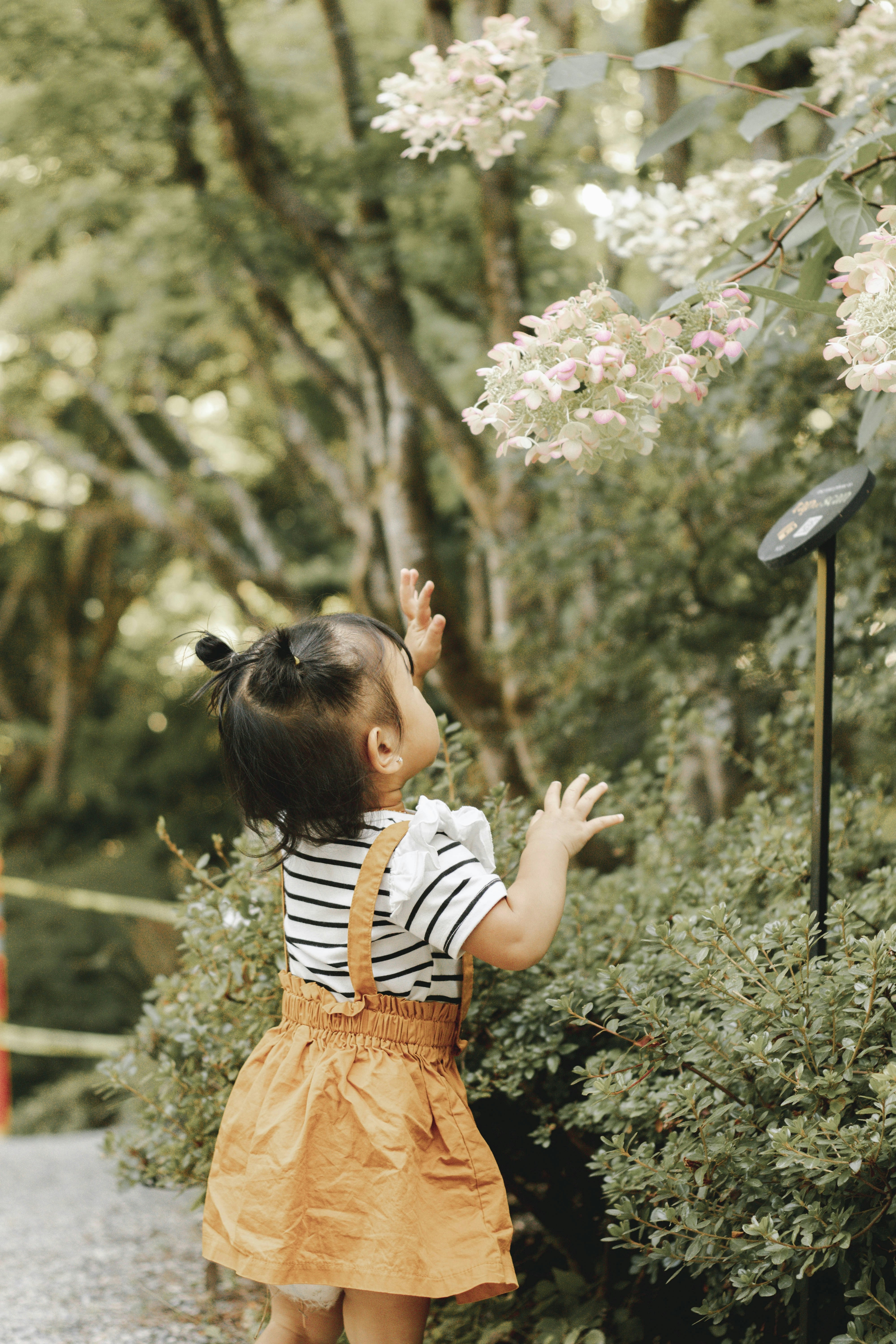 Photo by andrrewphoto