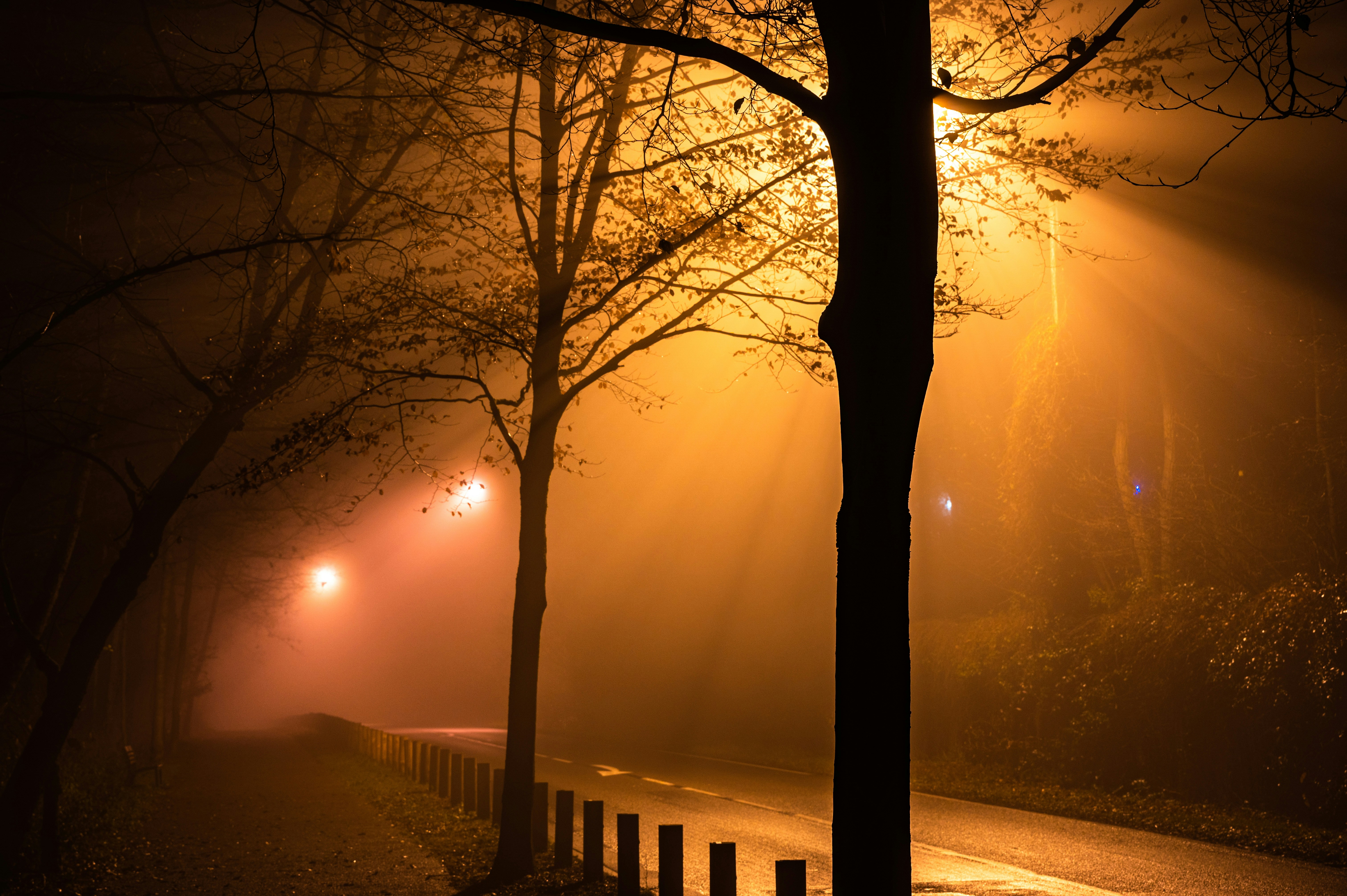 Photo by andreasbrun