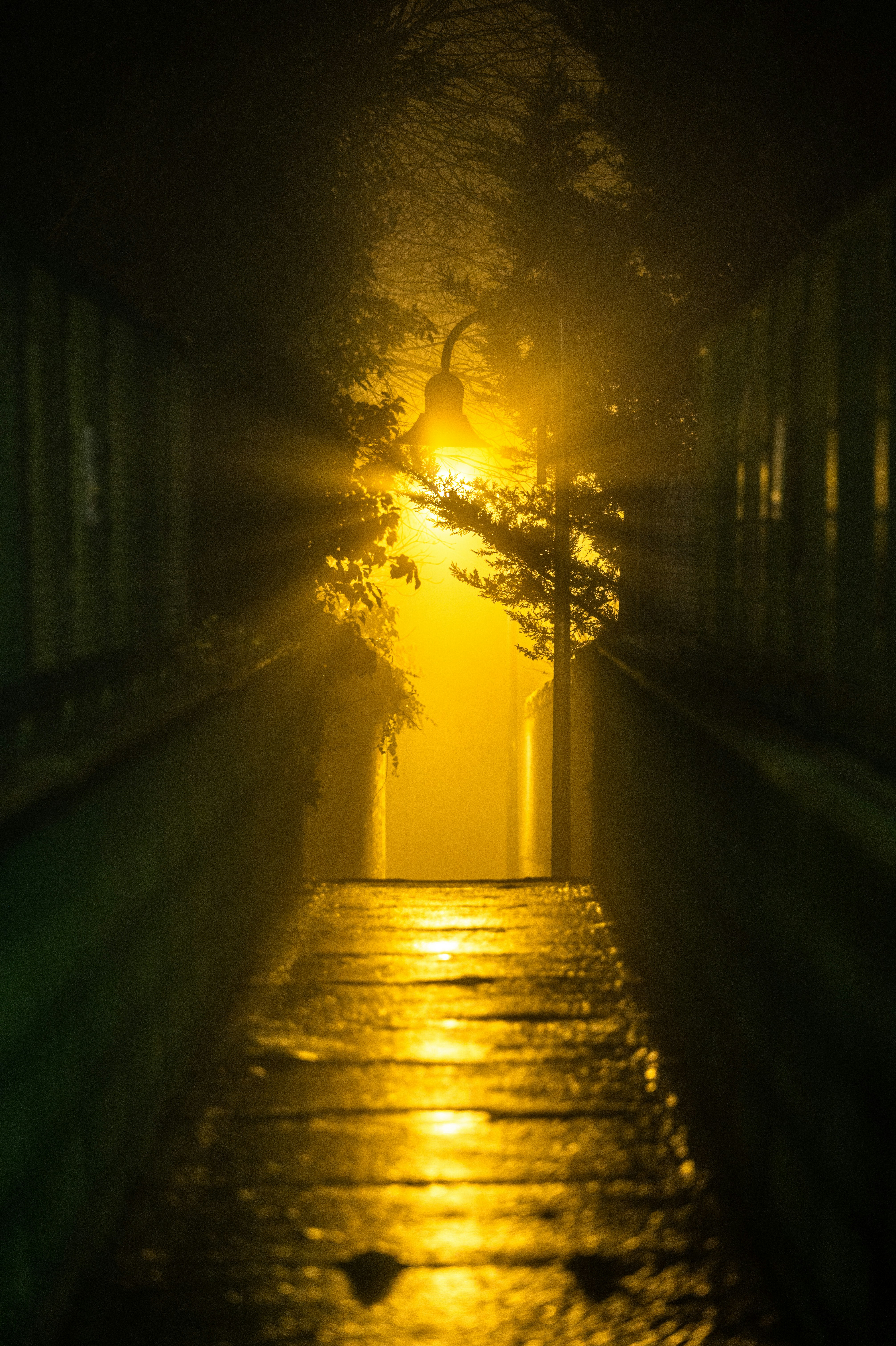 Photo by andreasbrun