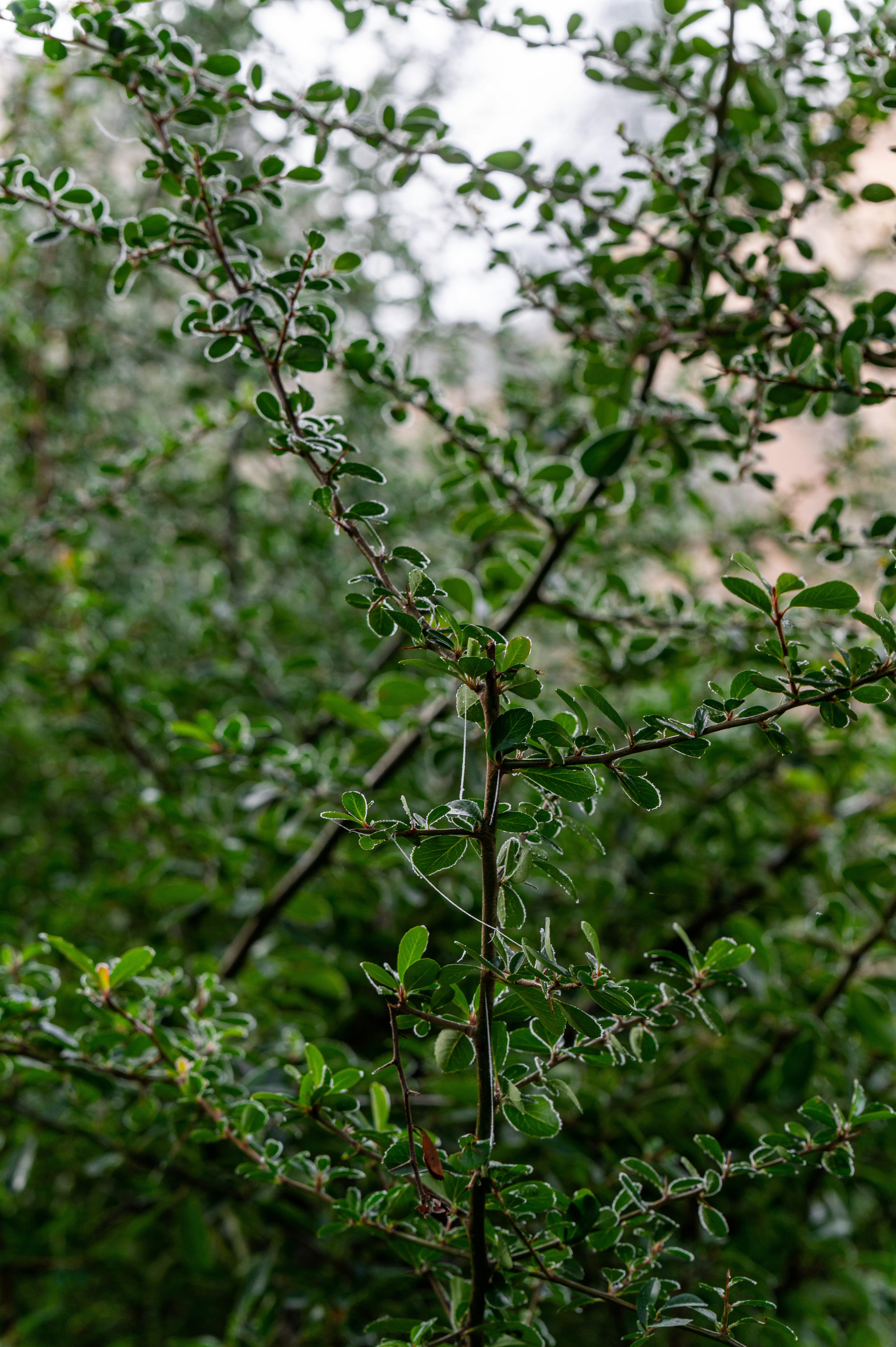 Photo by andreasbrun