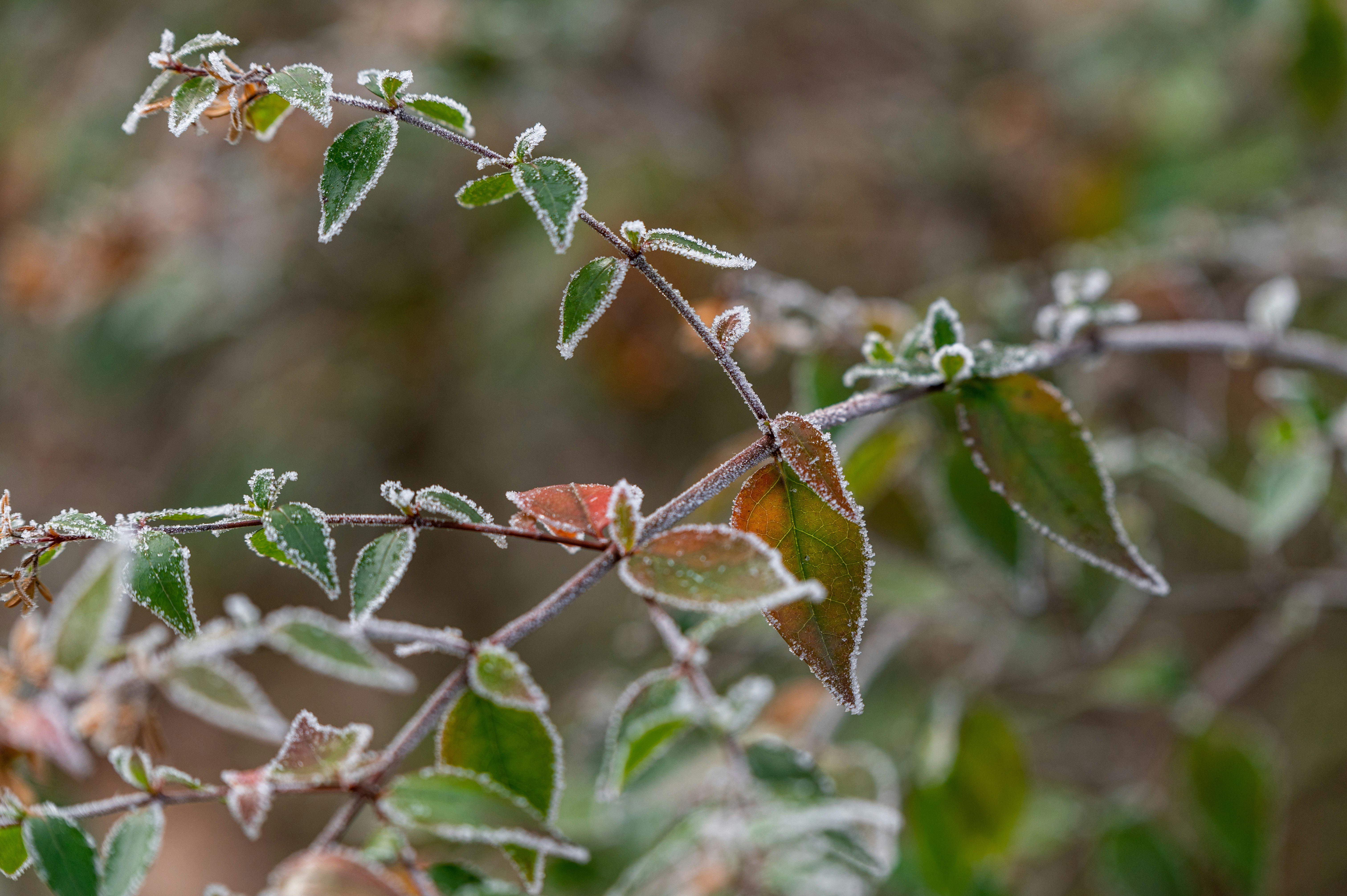 Photo by andreasbrun