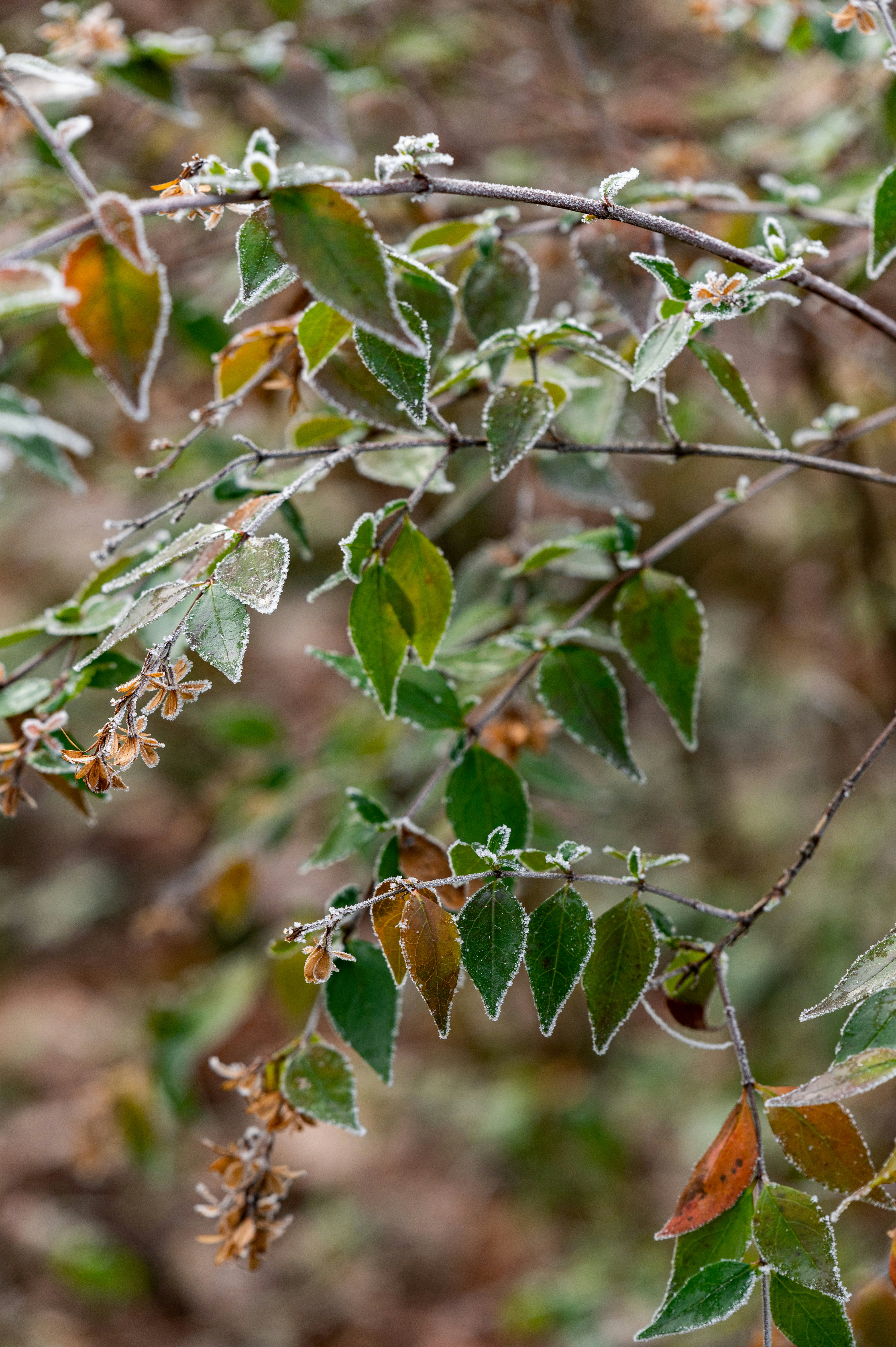 Photo by andreasbrun