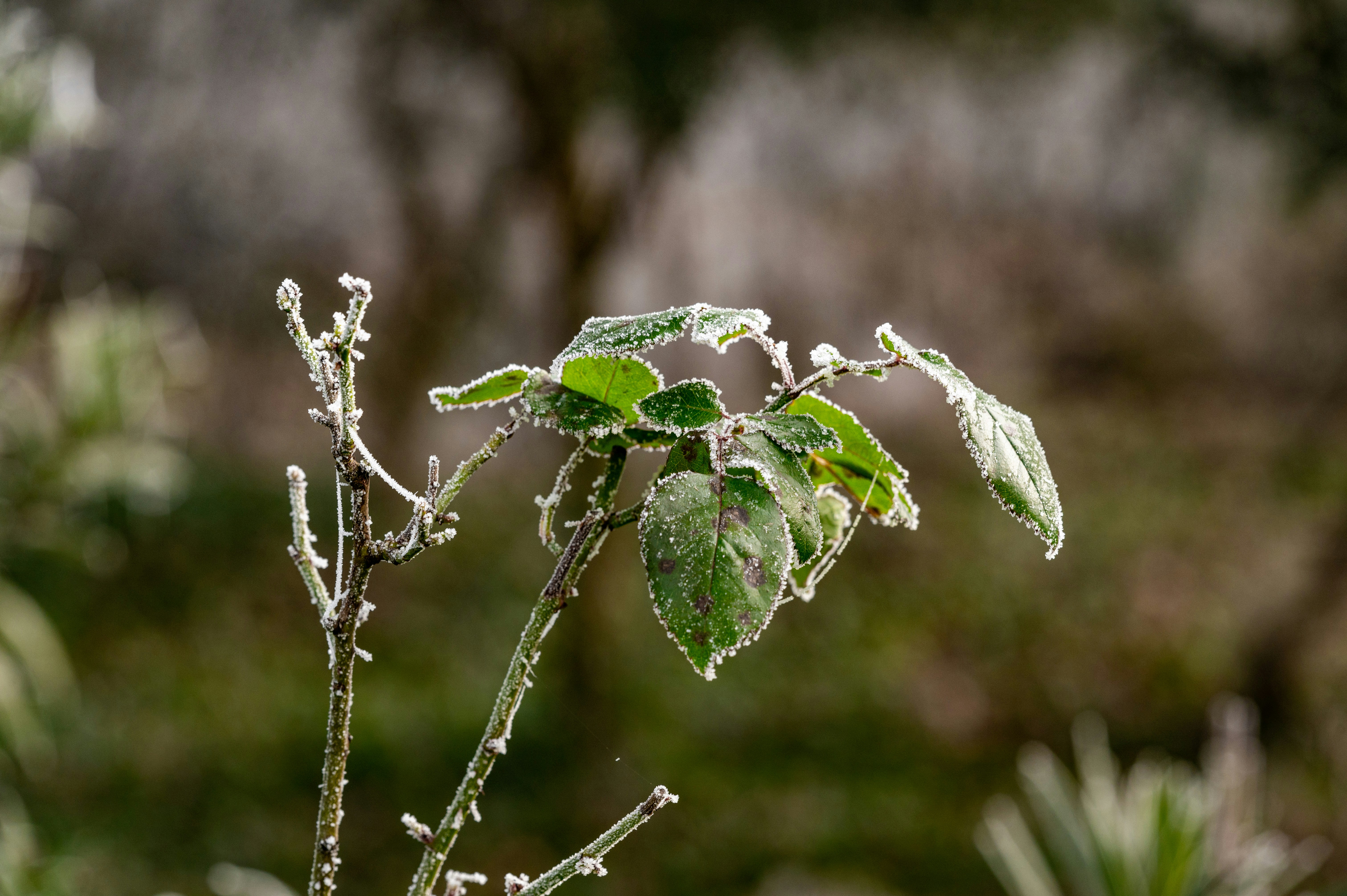 Photo by andreasbrun