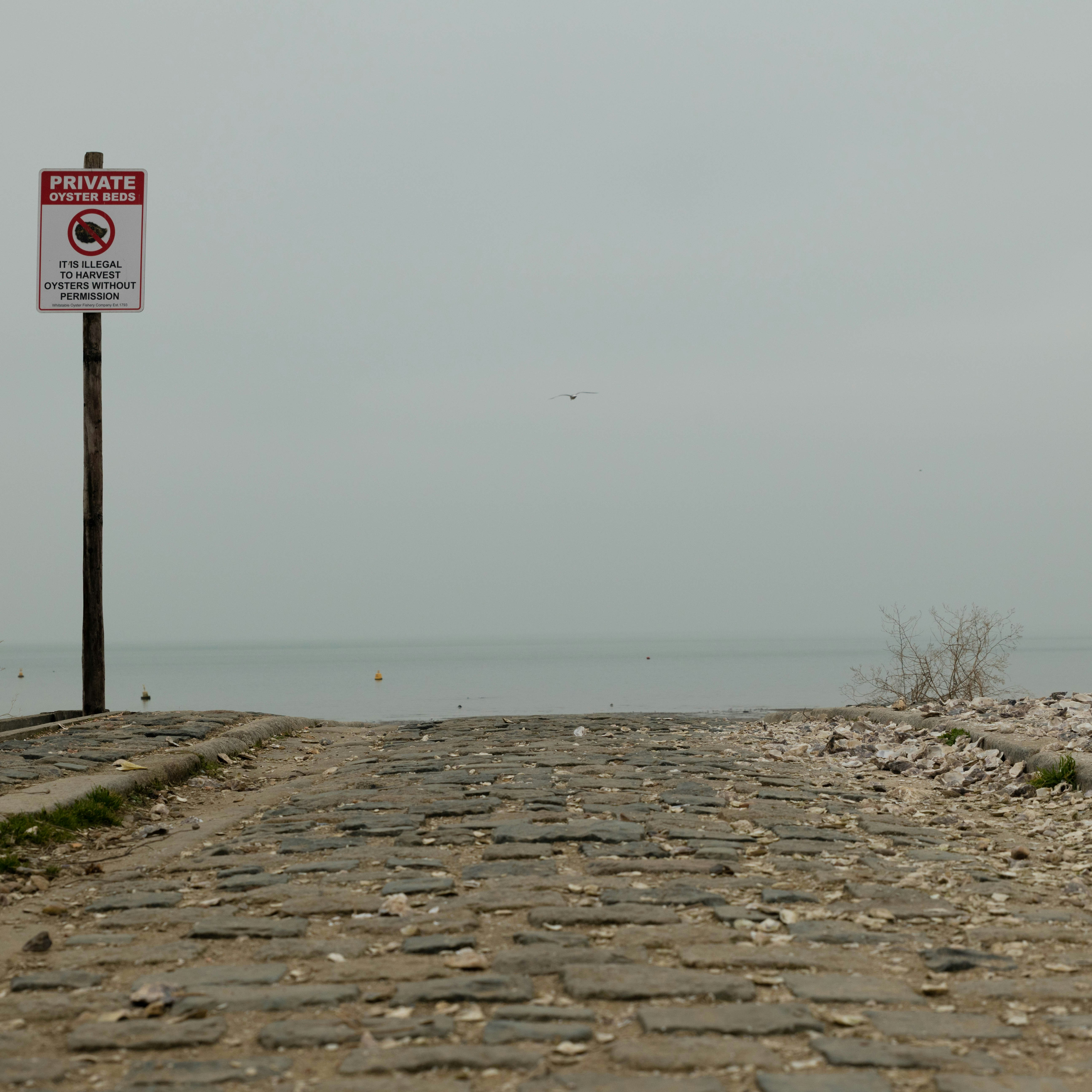 a red and white sign sitting on the side of a road