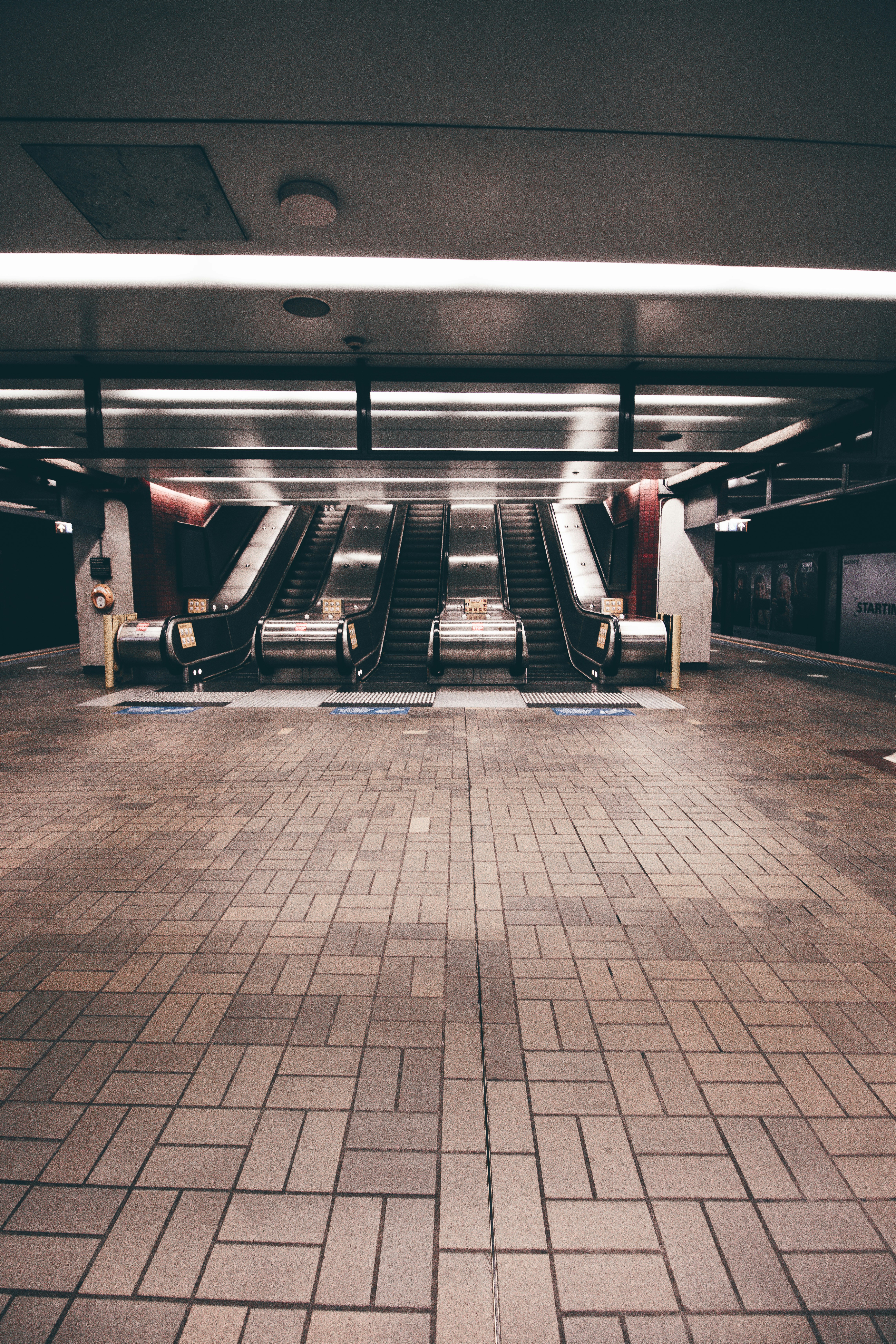 Photo by dynamite_luke