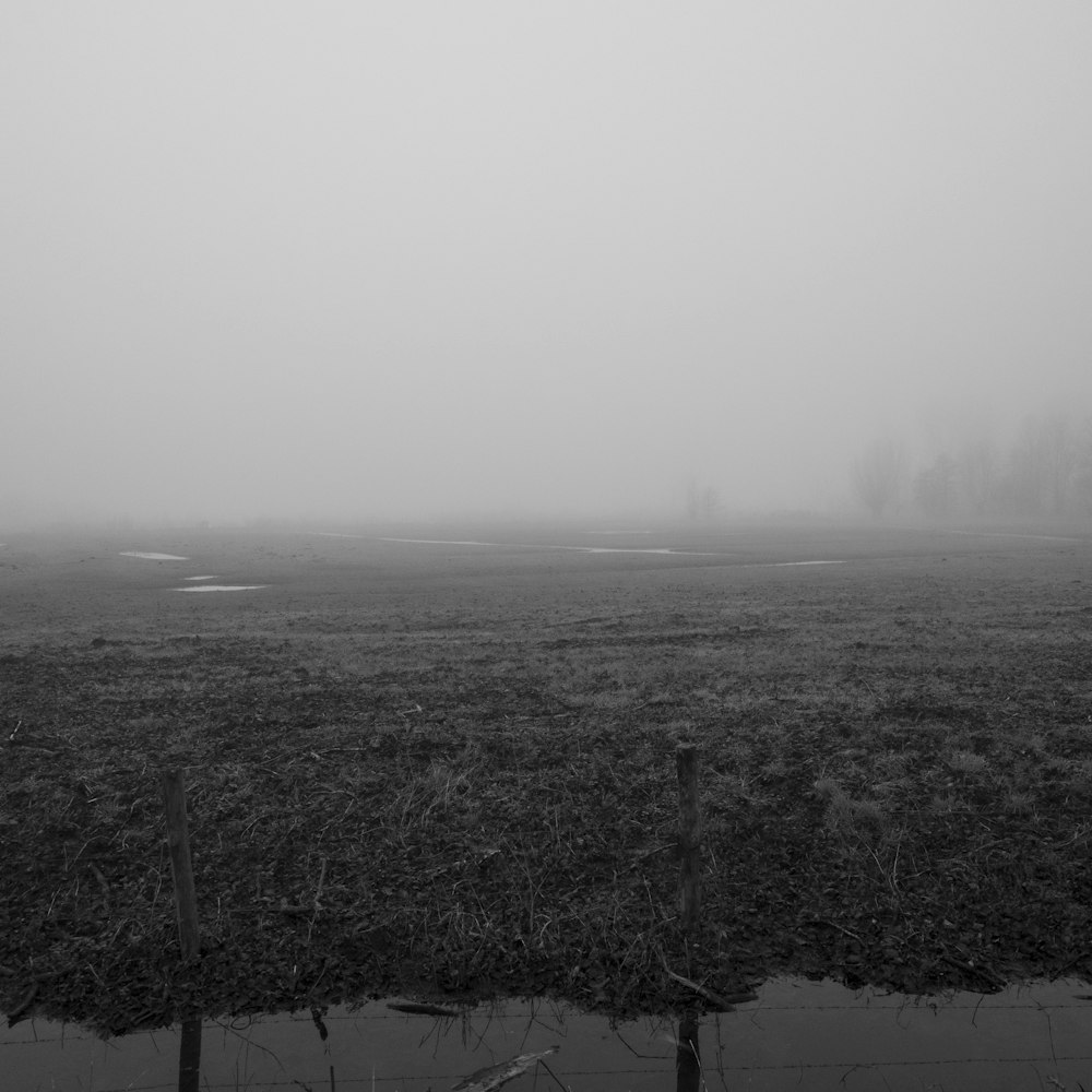 a black and white photo of a foggy field