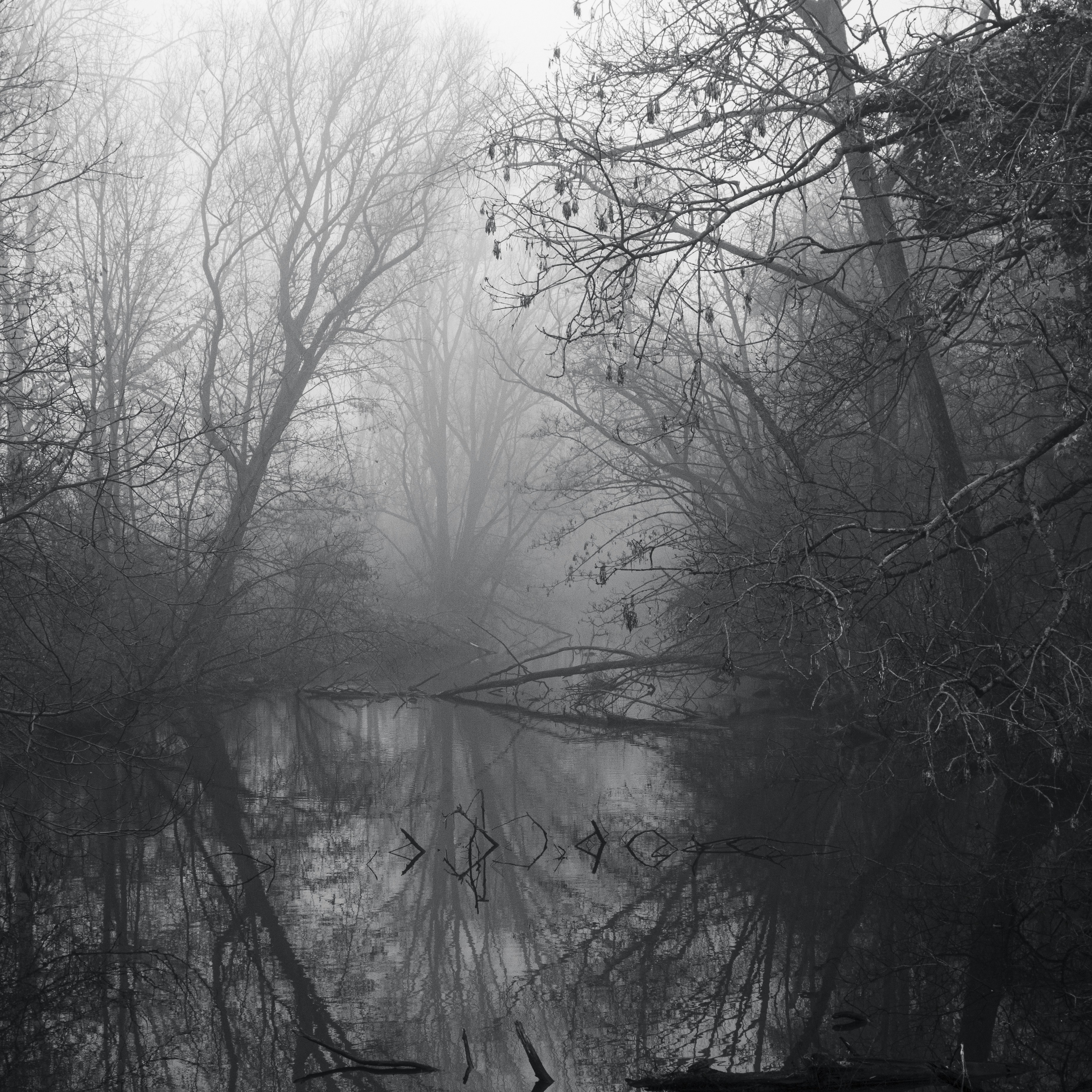 Photo by siebe_vanderhaeghen