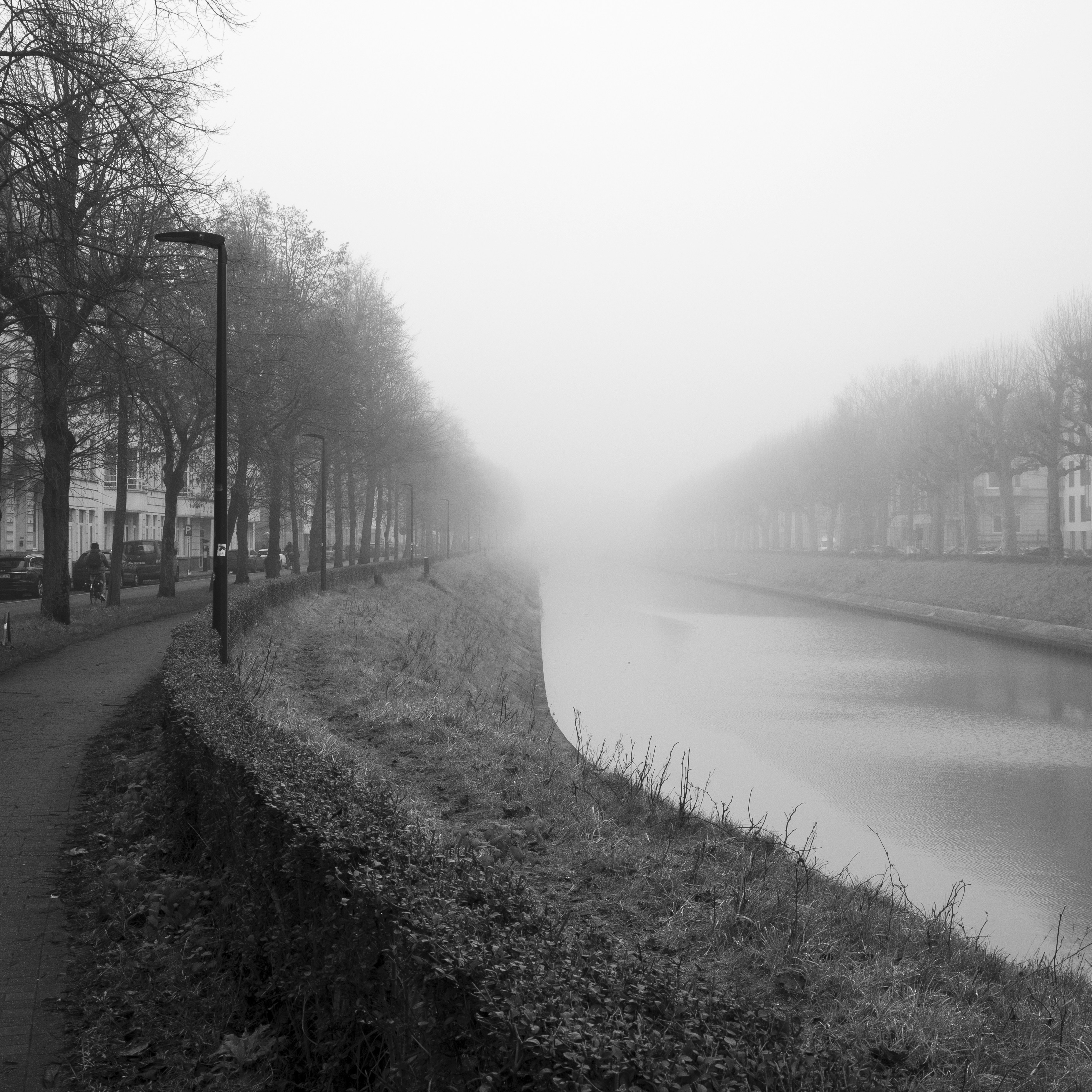 Photo by siebe_vanderhaeghen