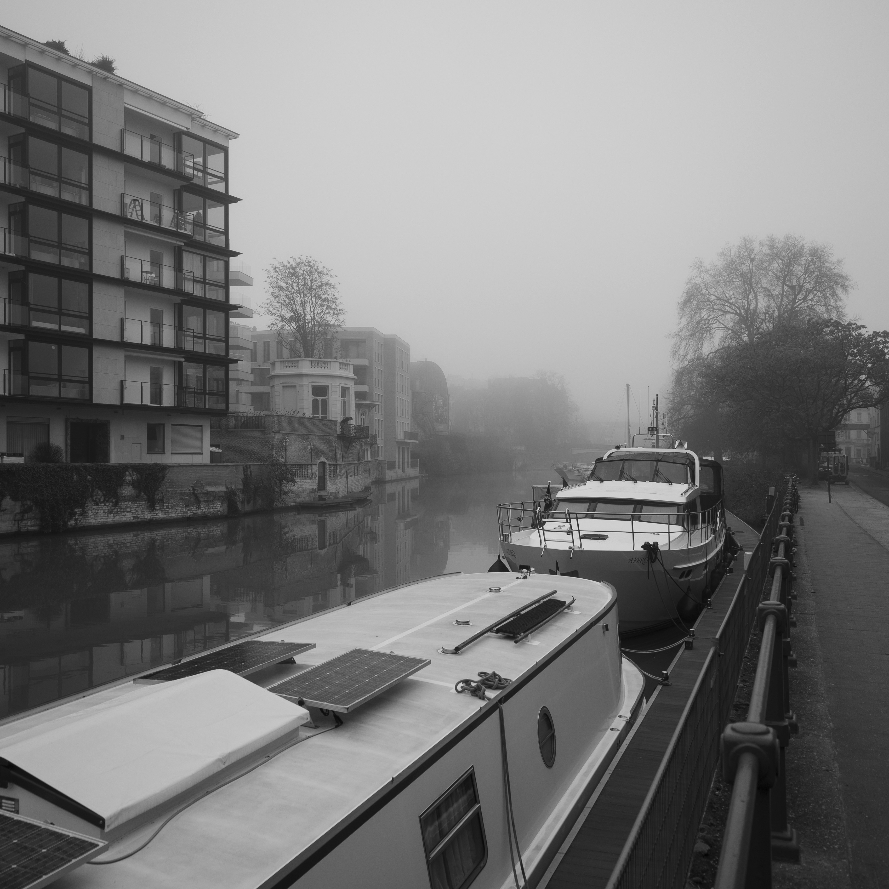Photo by siebe_vanderhaeghen