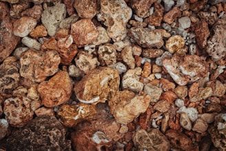 A close-up view of various irregularly shaped stones and rocks in earthy tones, ranging from brown to beige, with some white accents. The surface textures vary from smooth to rough.