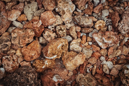 A close-up view of various irregularly shaped stones and rocks in earthy tones, ranging from brown to beige, with some white accents. The surface textures vary from smooth to rough.