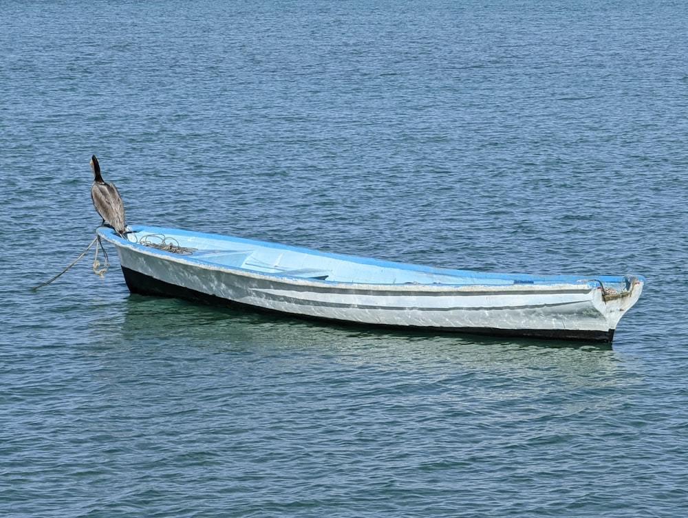 Ein kleines Boot, das auf einem Gewässer schwimmt
