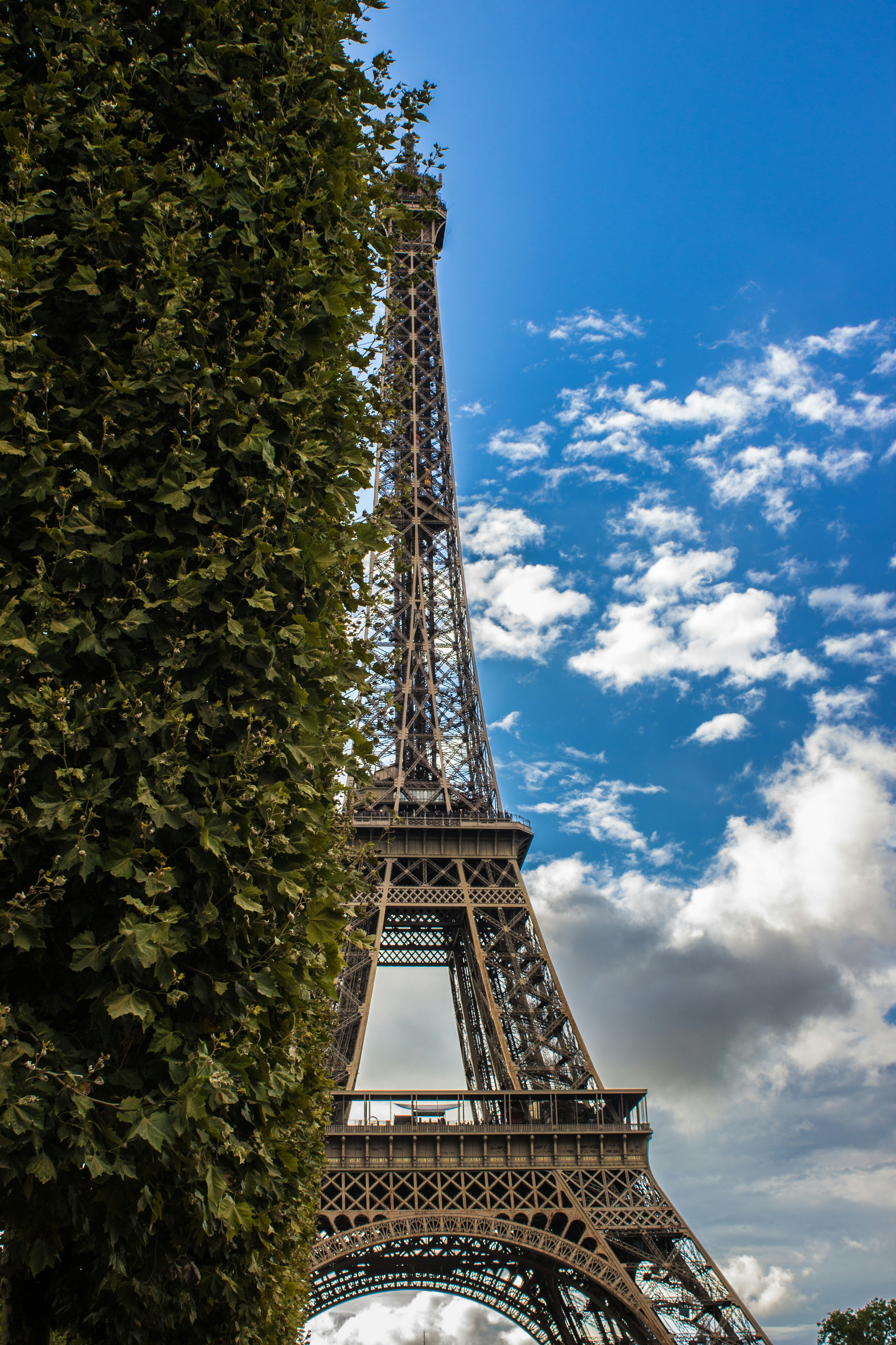 Photo by siganmelosbuenos