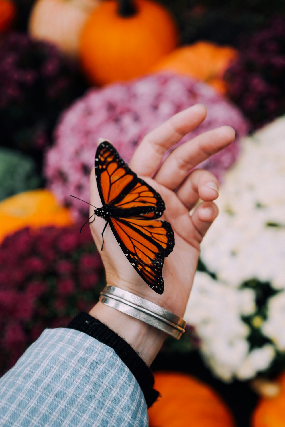 a person's hand with a butterfly on it