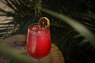 A vibrant red cocktail is garnished with a slice of dried lemon, served in a chilled glass with condensation. The setting includes lush green plants in the background, adding a tropical or natural ambiance.
