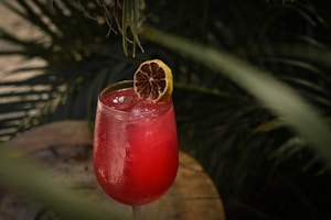 Gin Frutos Rojos