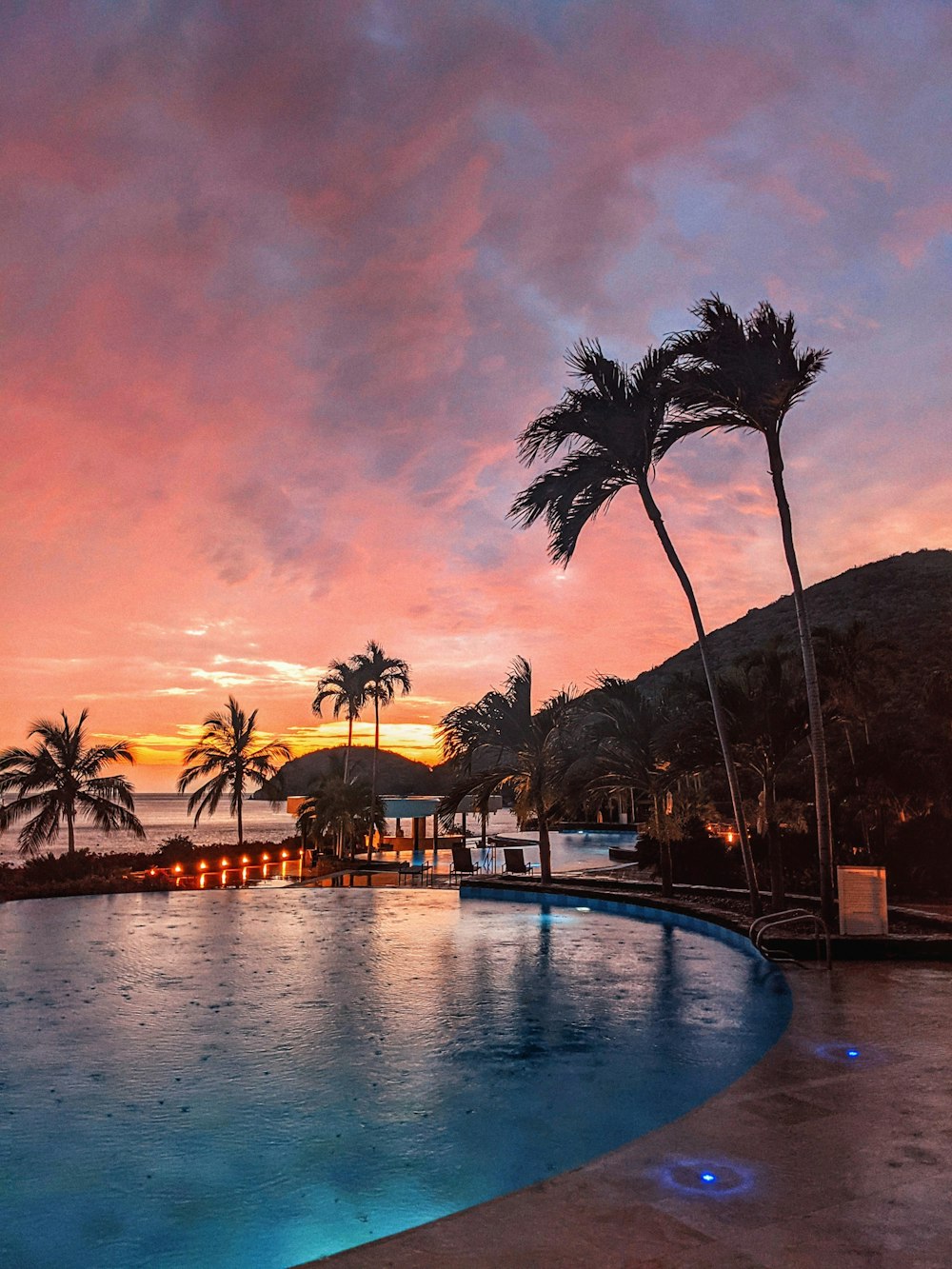 a large swimming pool surrounded by palm trees