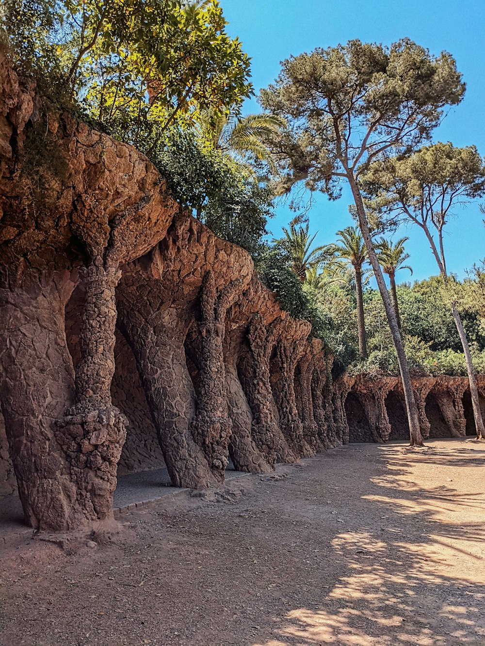 a row of trees that are next to each other