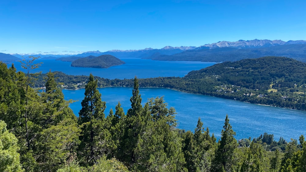 una vista panoramica di un lago circondato da alberi