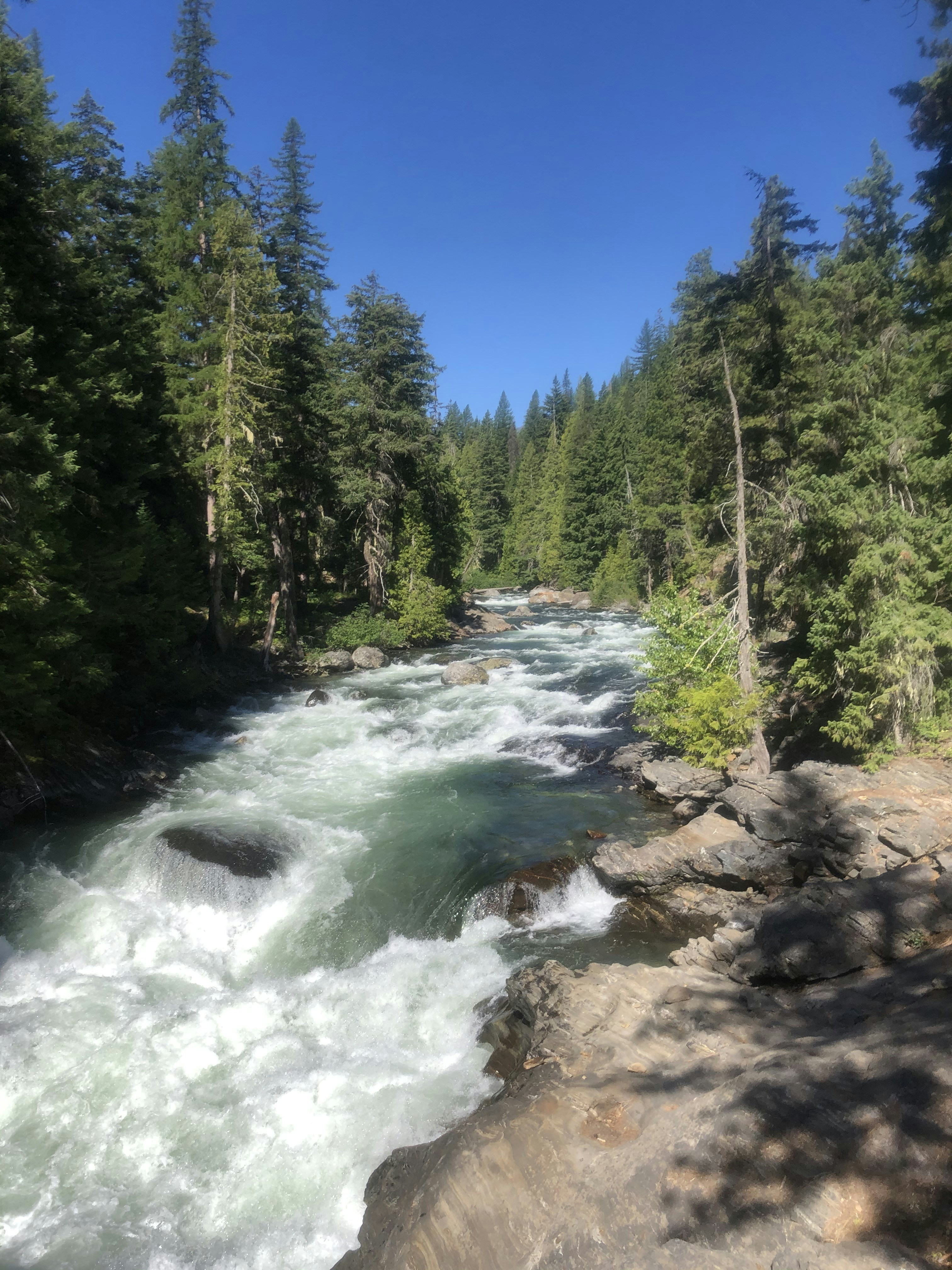 Photo by spanishone616