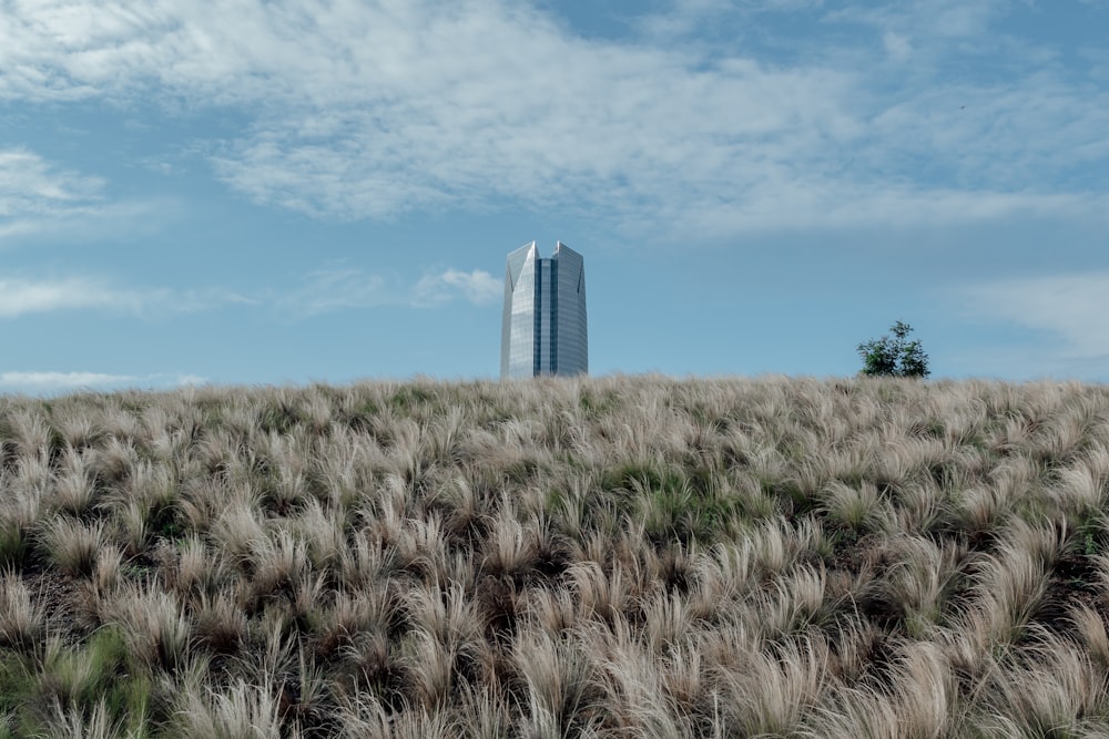 a tall building sitting on top of a lush green field