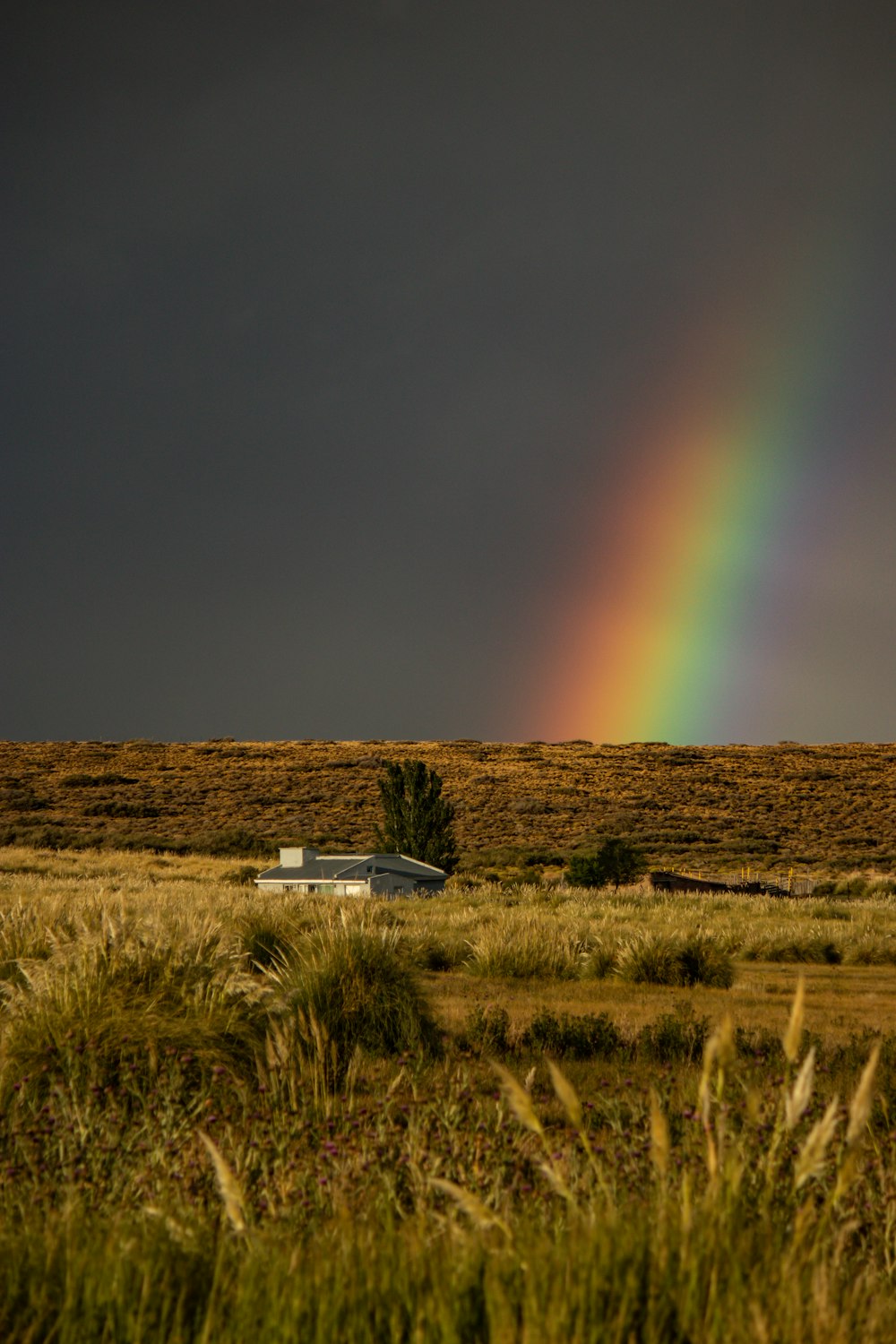 a rainbow in the sky over a field of grass