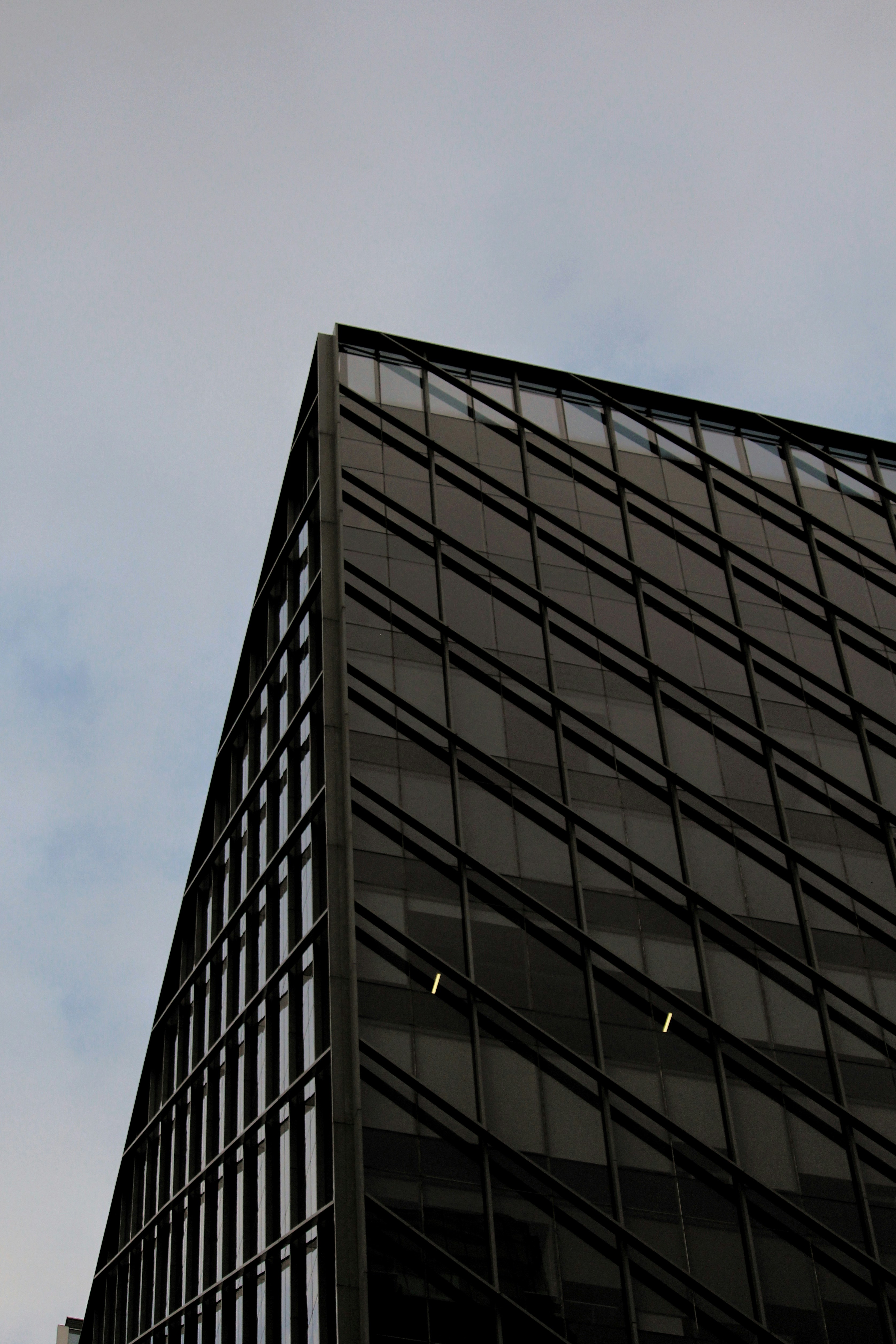 Photo by yahirespinosa