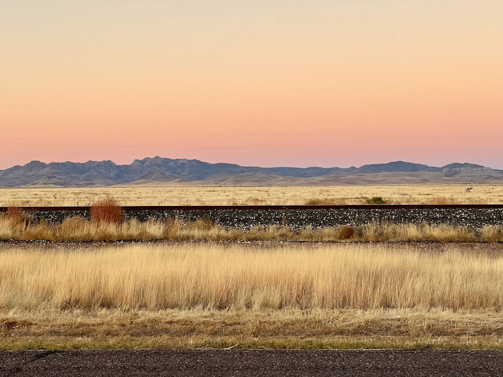 a train traveling through a rural countryside under a pink sky