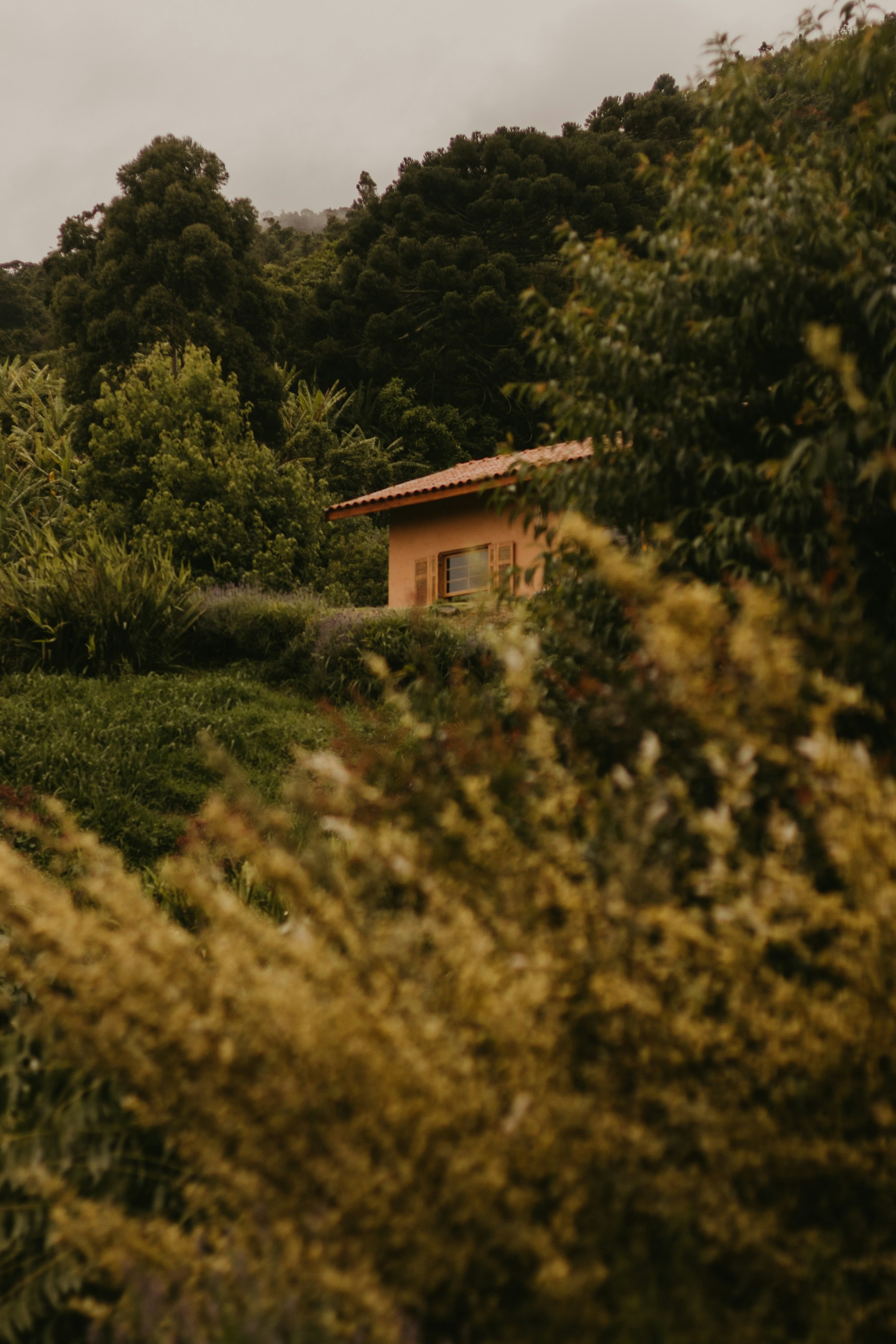 a house surrounded by trees and bushes on a cloudy day