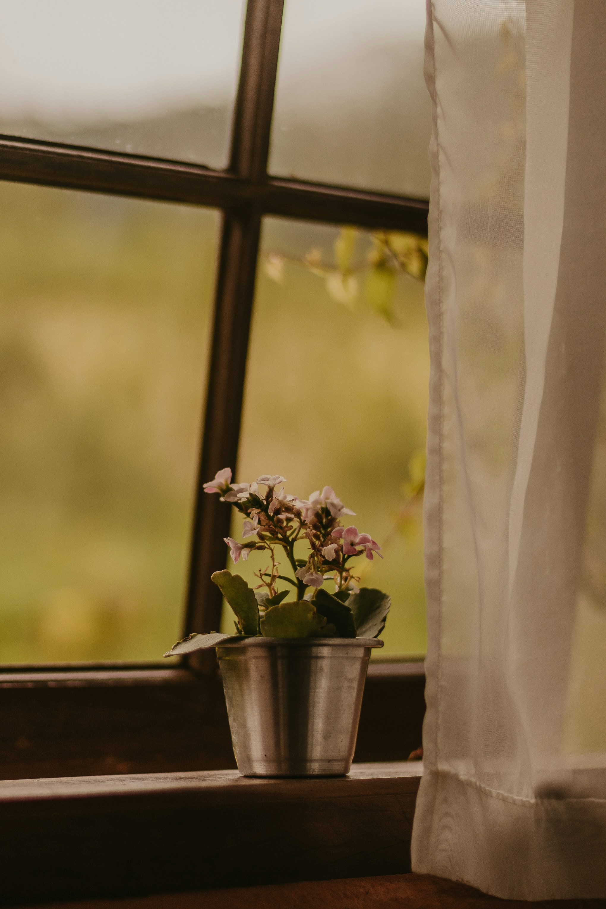 Photo by nicolequeiroz