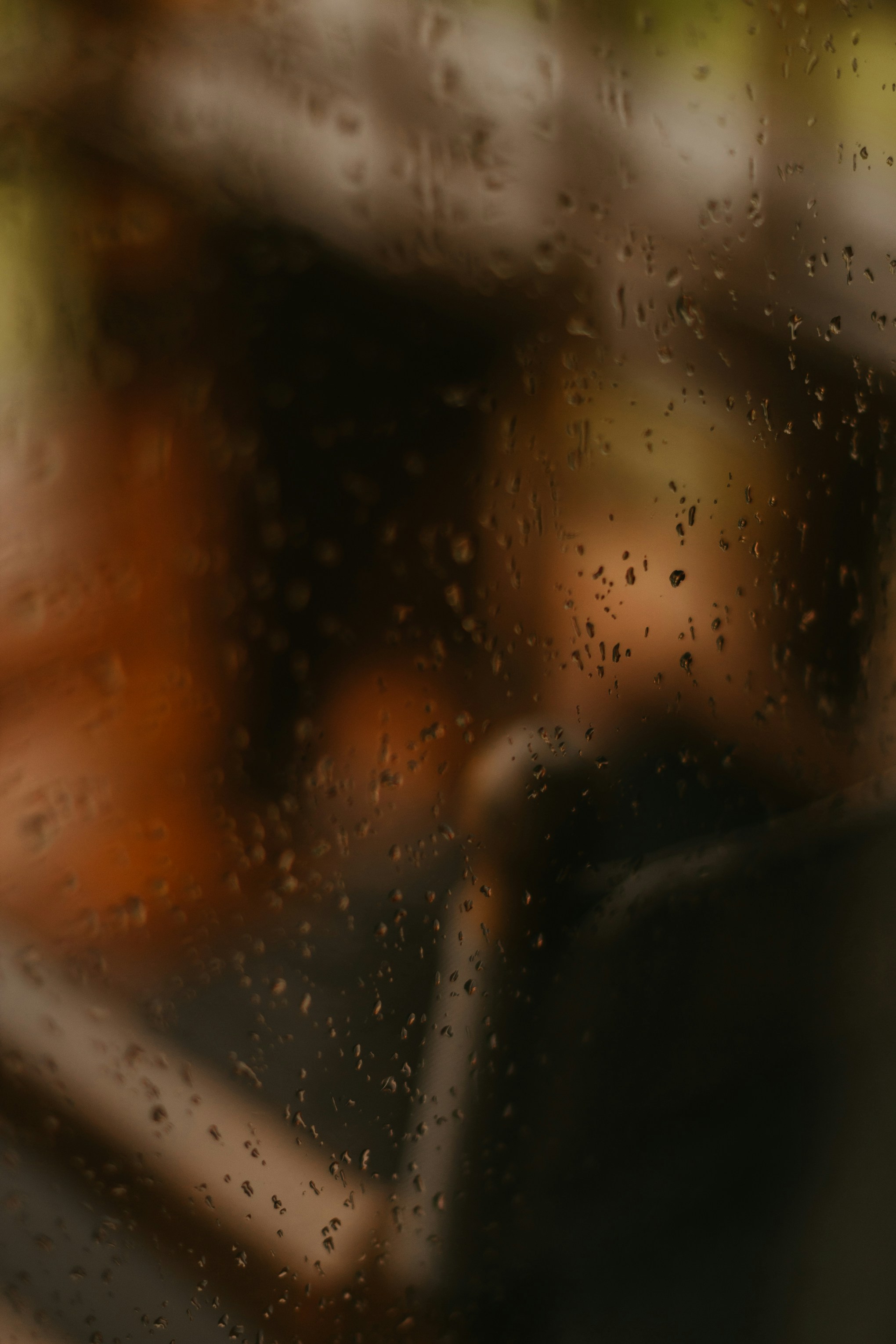 Photo by nicolequeiroz