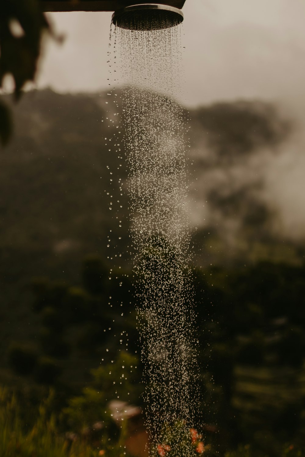 a shower head is sprinkled with water