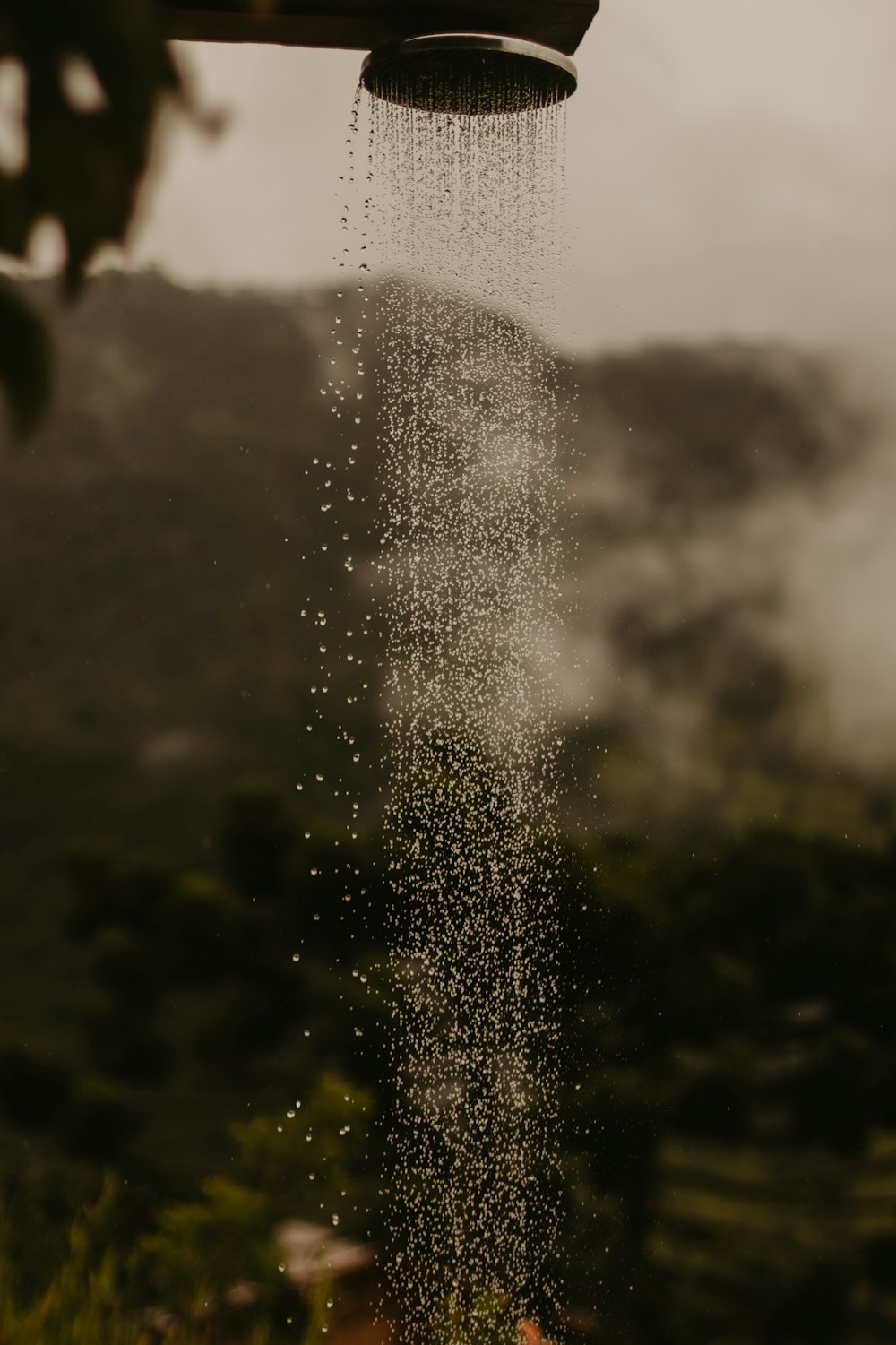 a shower head is sprinkled with water