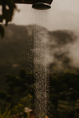 a shower head is sprinkled with water