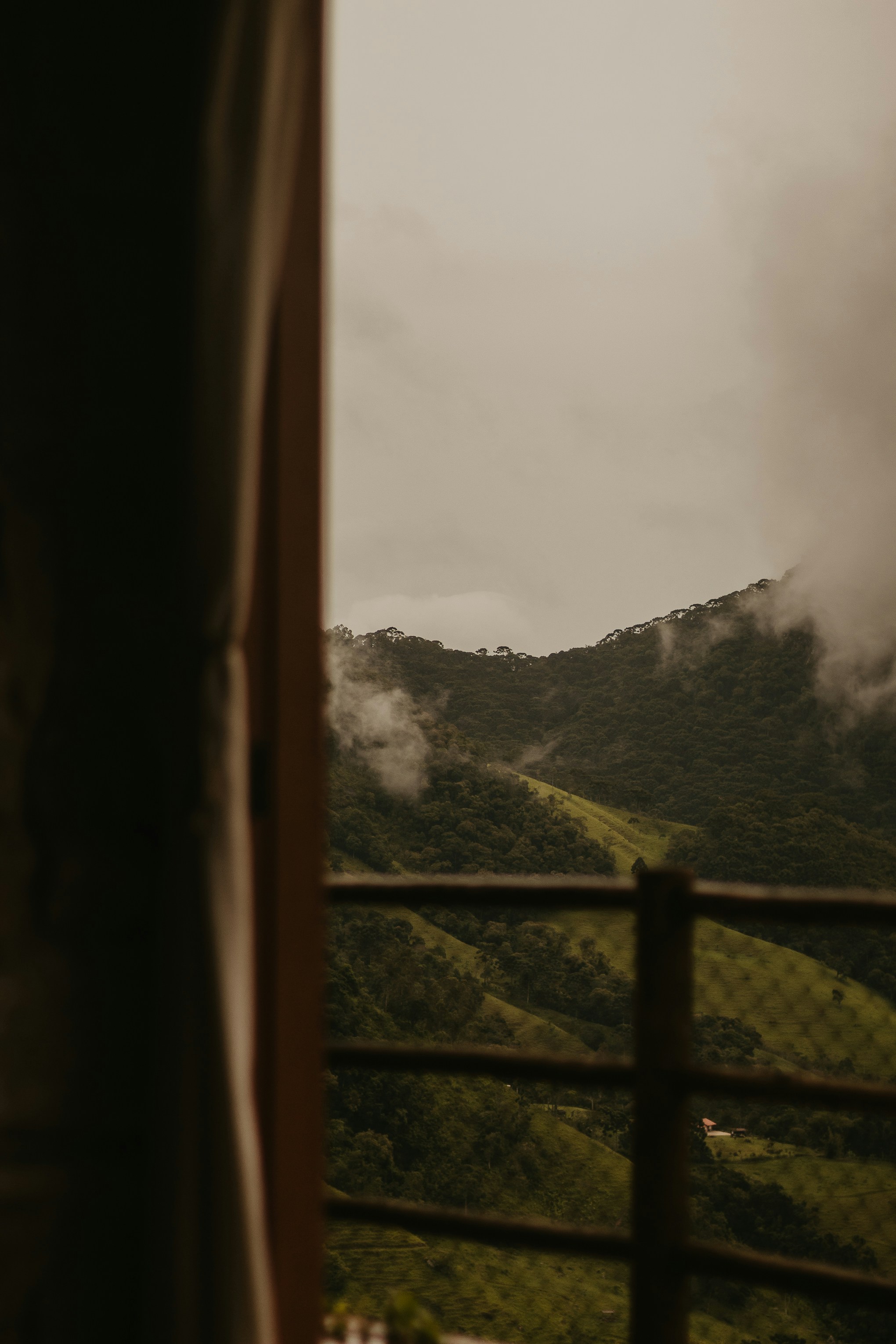 Photo by nicolequeiroz