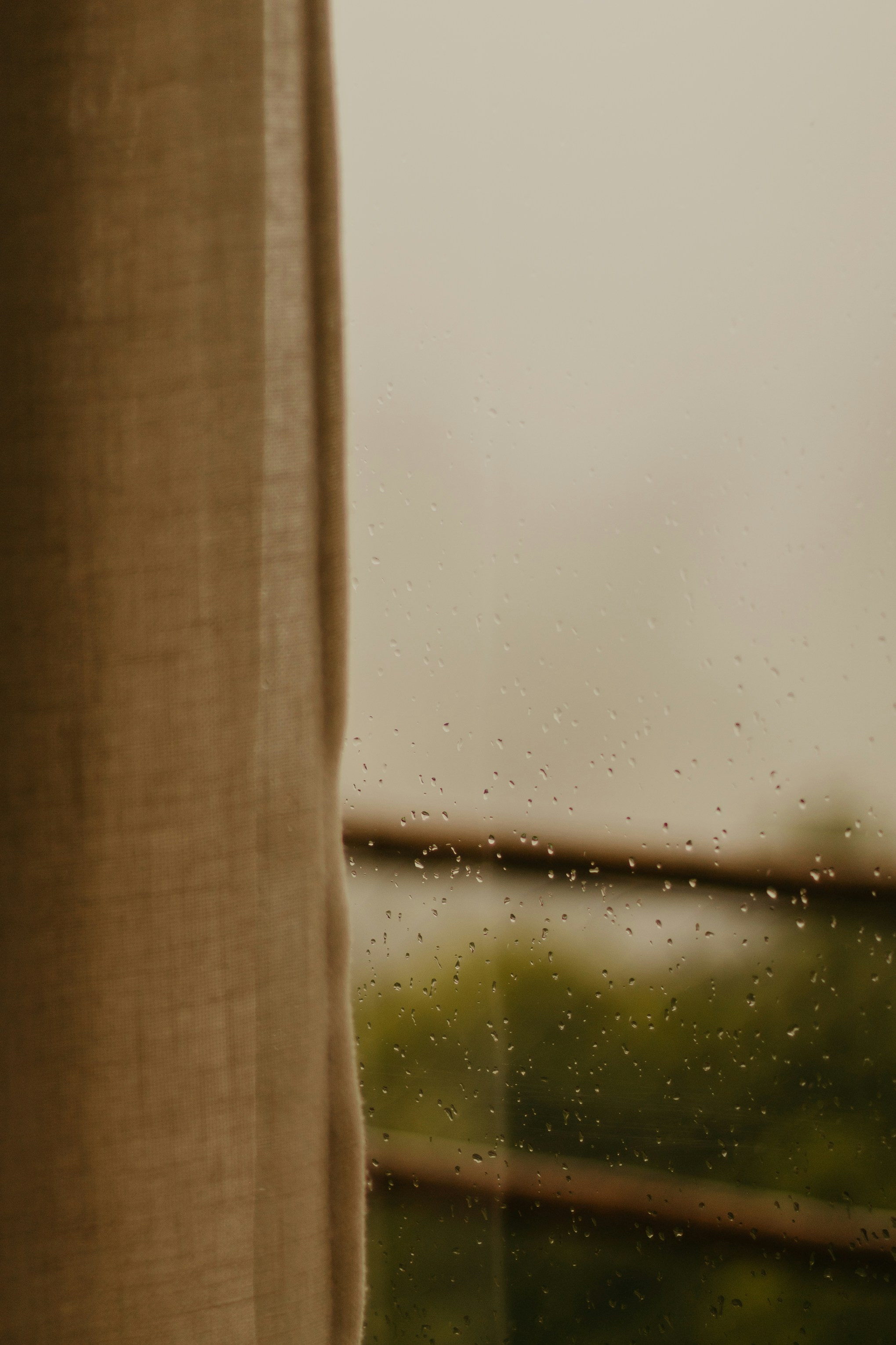 Photo by nicolequeiroz