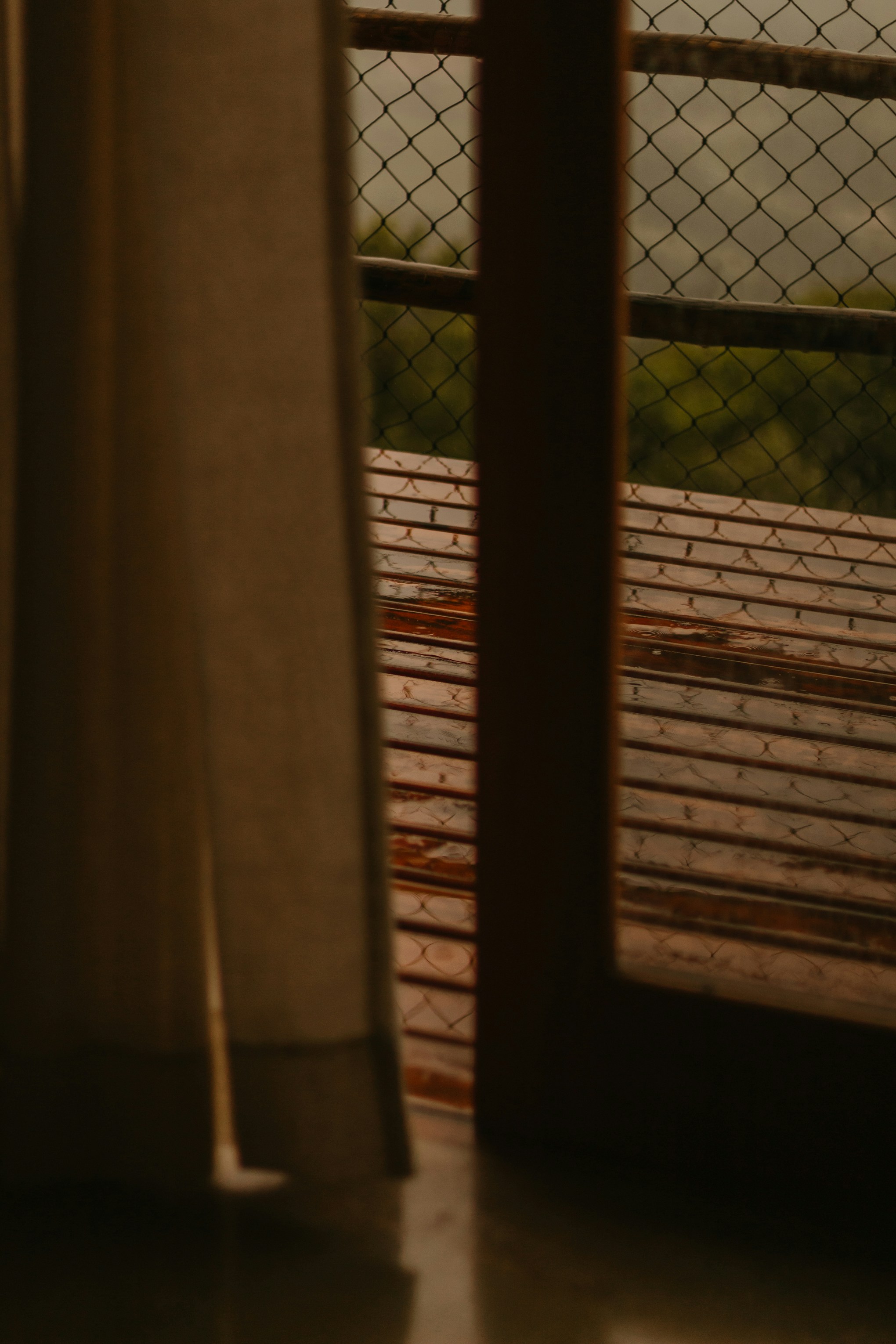 Photo by nicolequeiroz