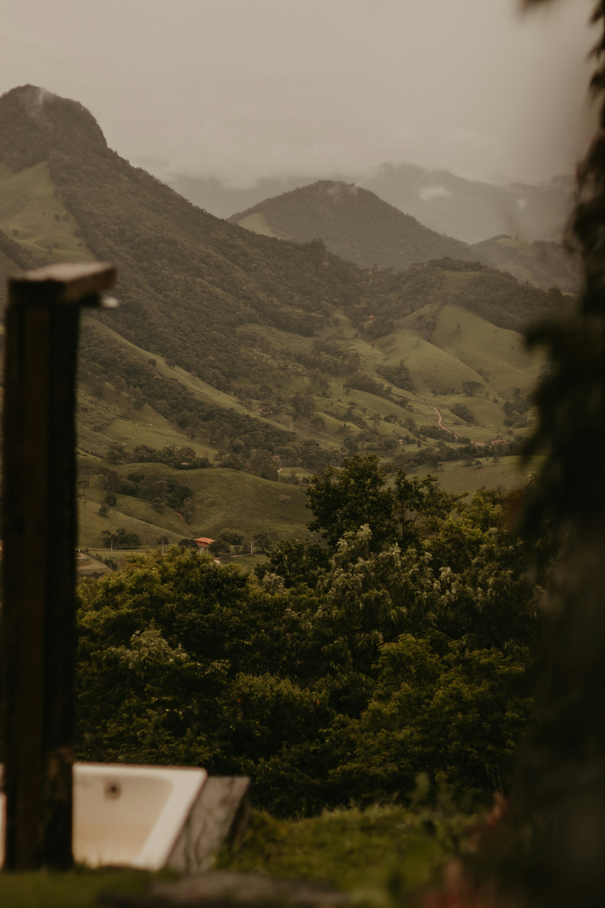 Photo by nicolequeiroz