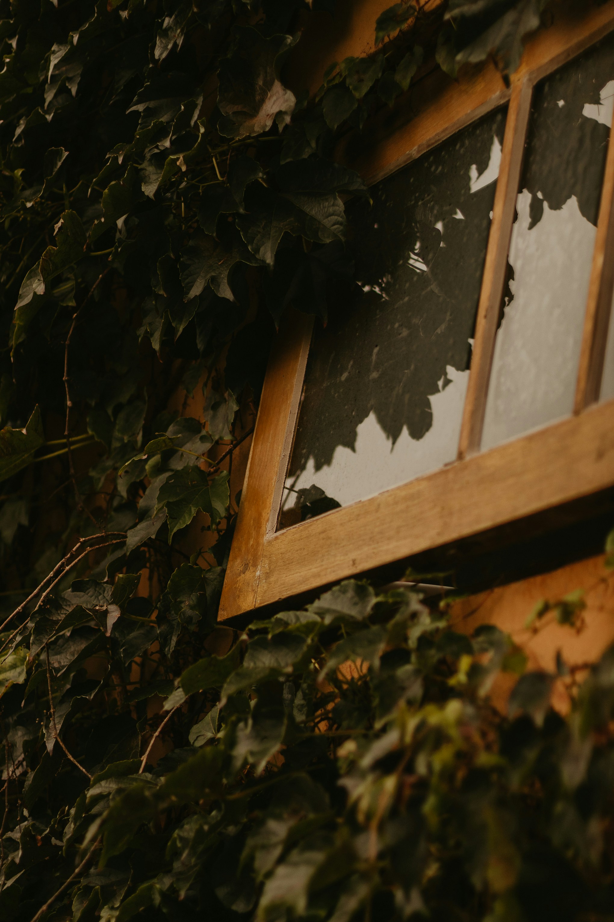 Photo by nicolequeiroz