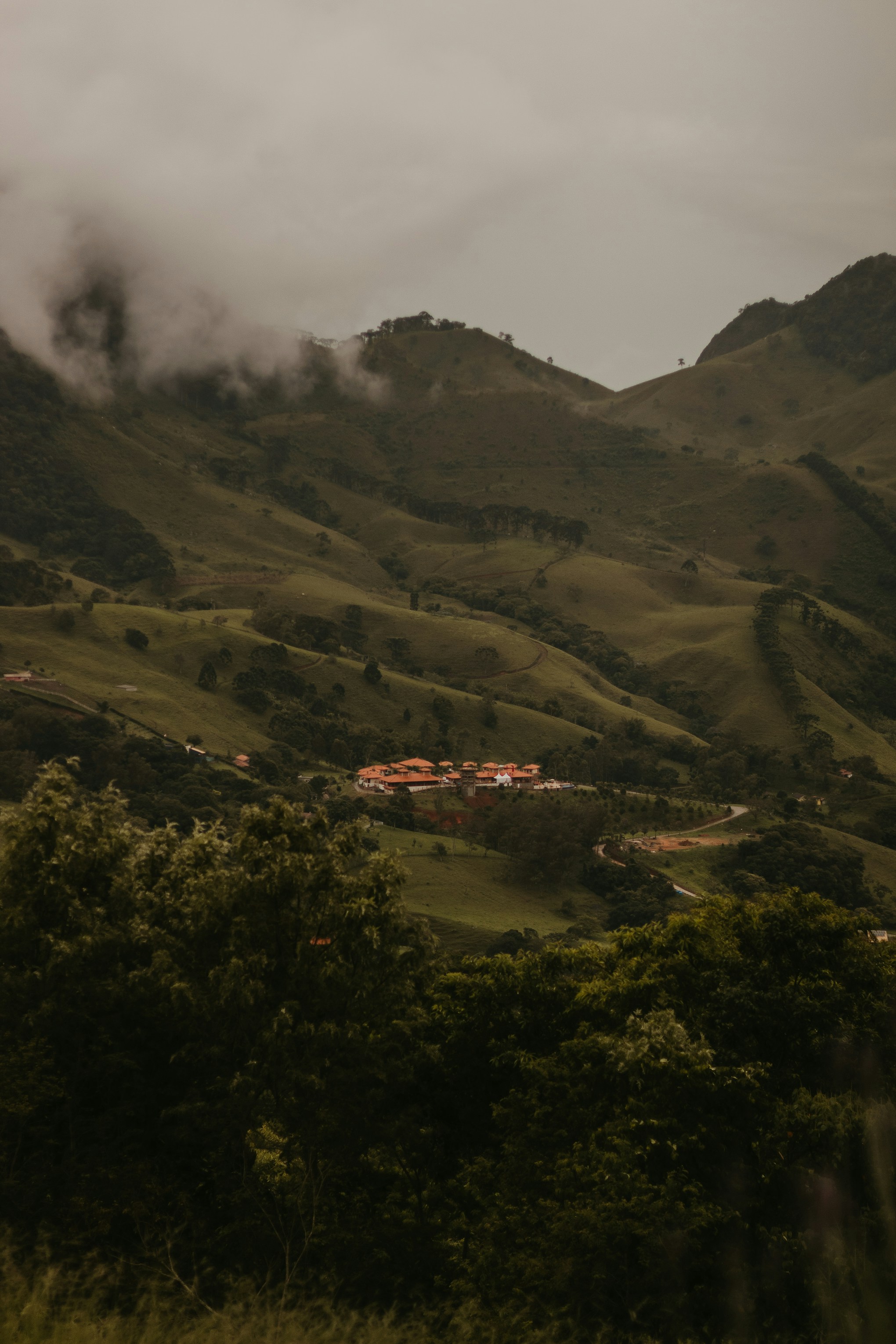 Photo by nicolequeiroz