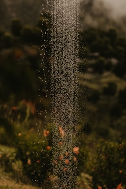 a close up of a sprinkle of water from a sprinkler
